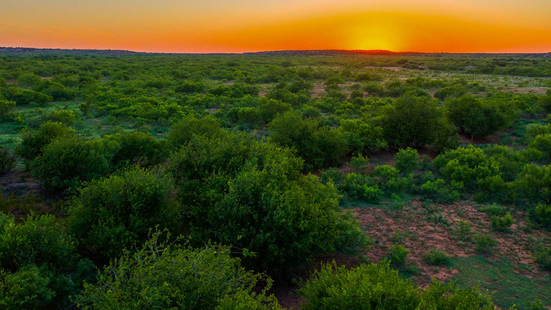 McBrannon Ranch property picture 58 of 67