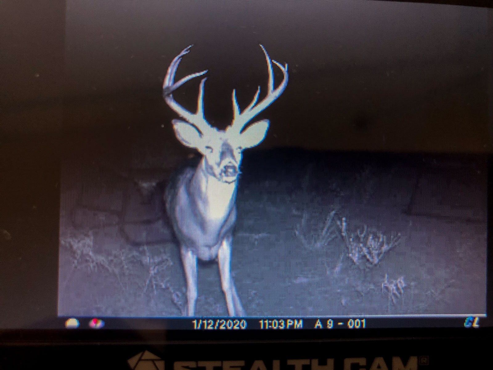 McBrannon Ranch property picture 28 of 67