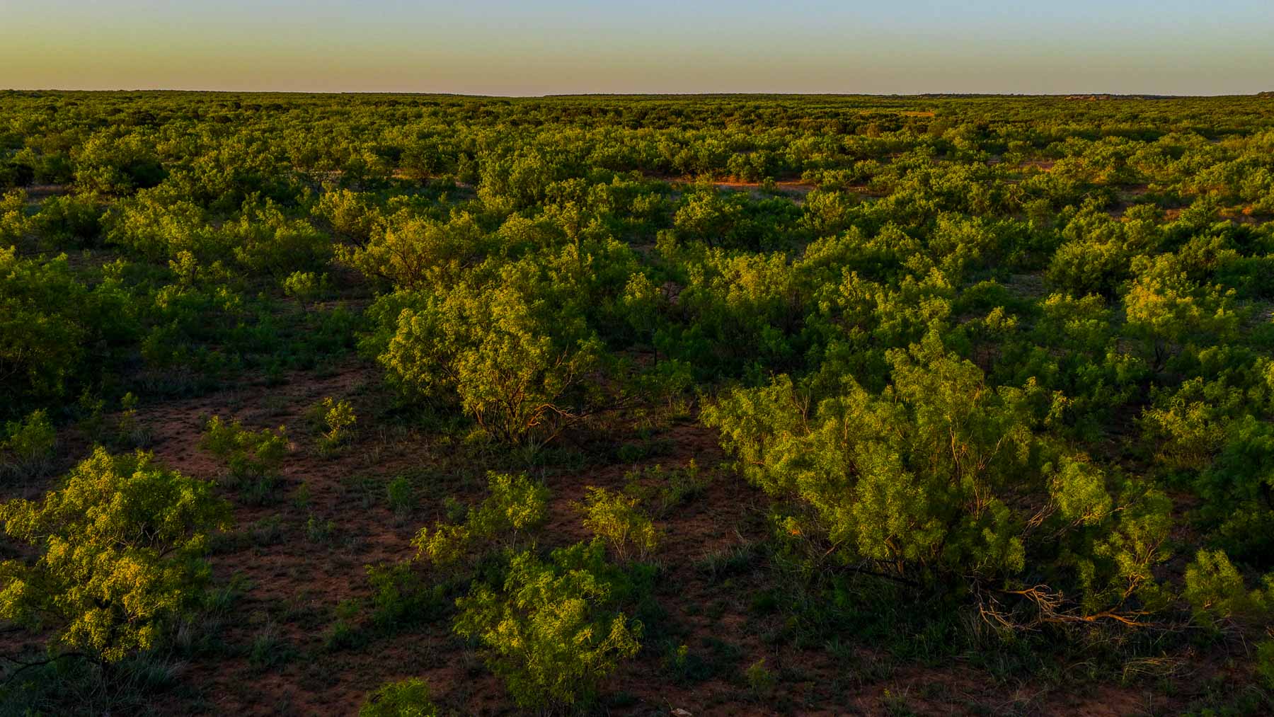McBrannon Ranch property picture 41 of 67