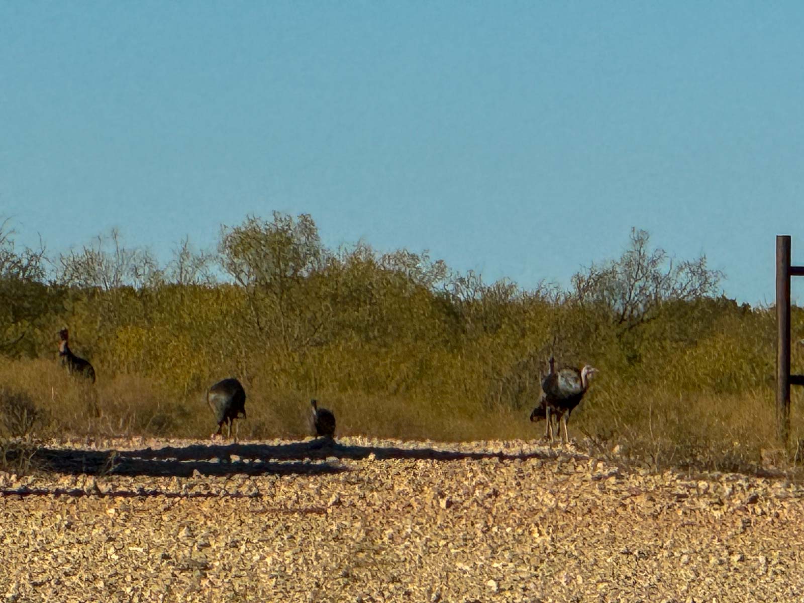McBrannon Ranch property picture 26 of 67