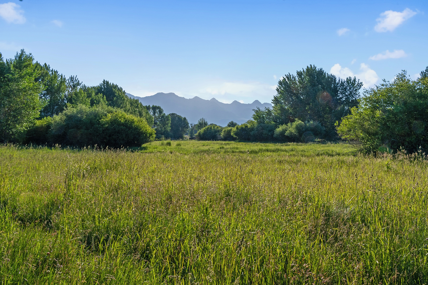 Big Lost River Ranch property picture 87 of 100