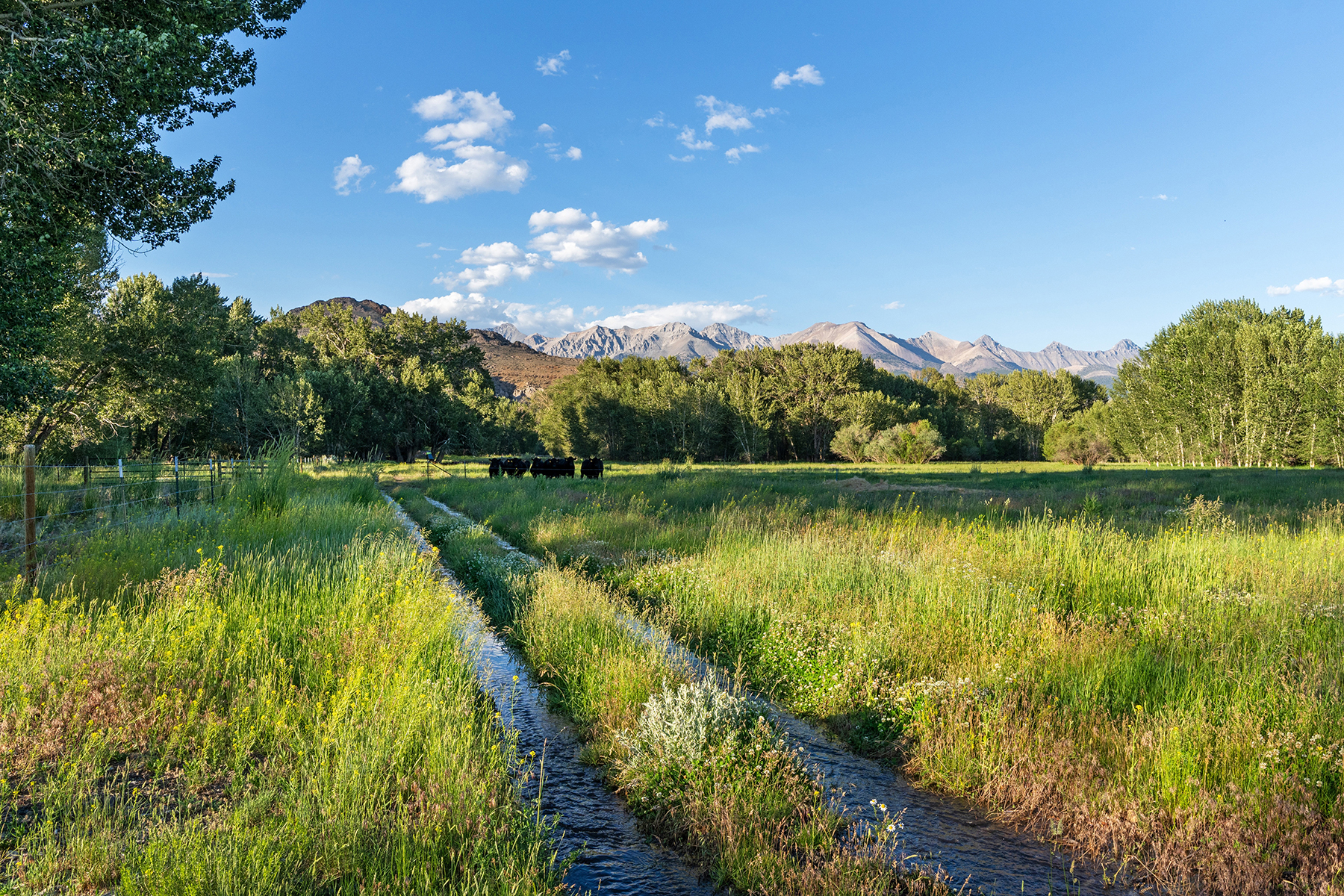 Big Lost River Ranch property picture 96 of 100