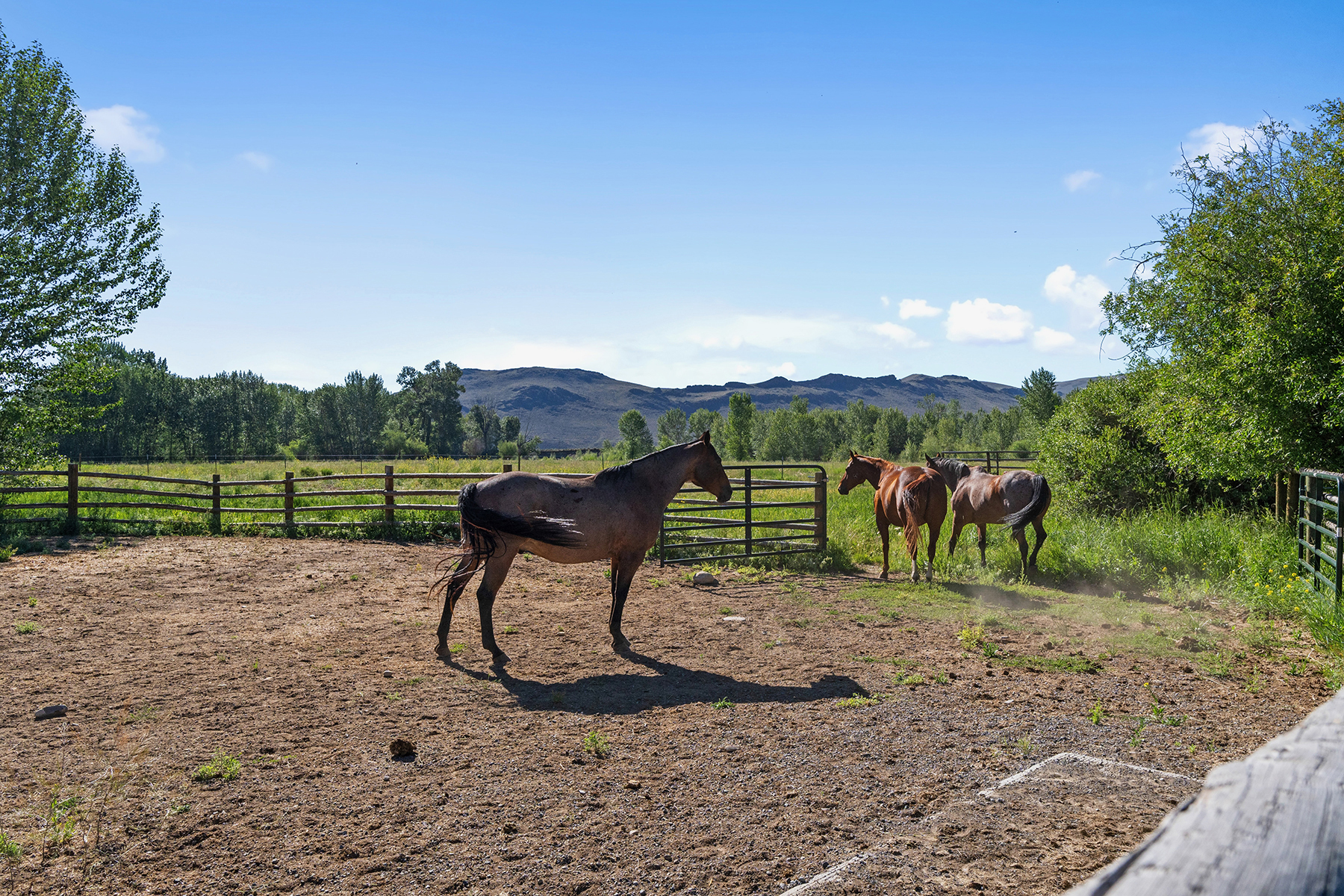 Big Lost River Ranch property picture 65 of 100