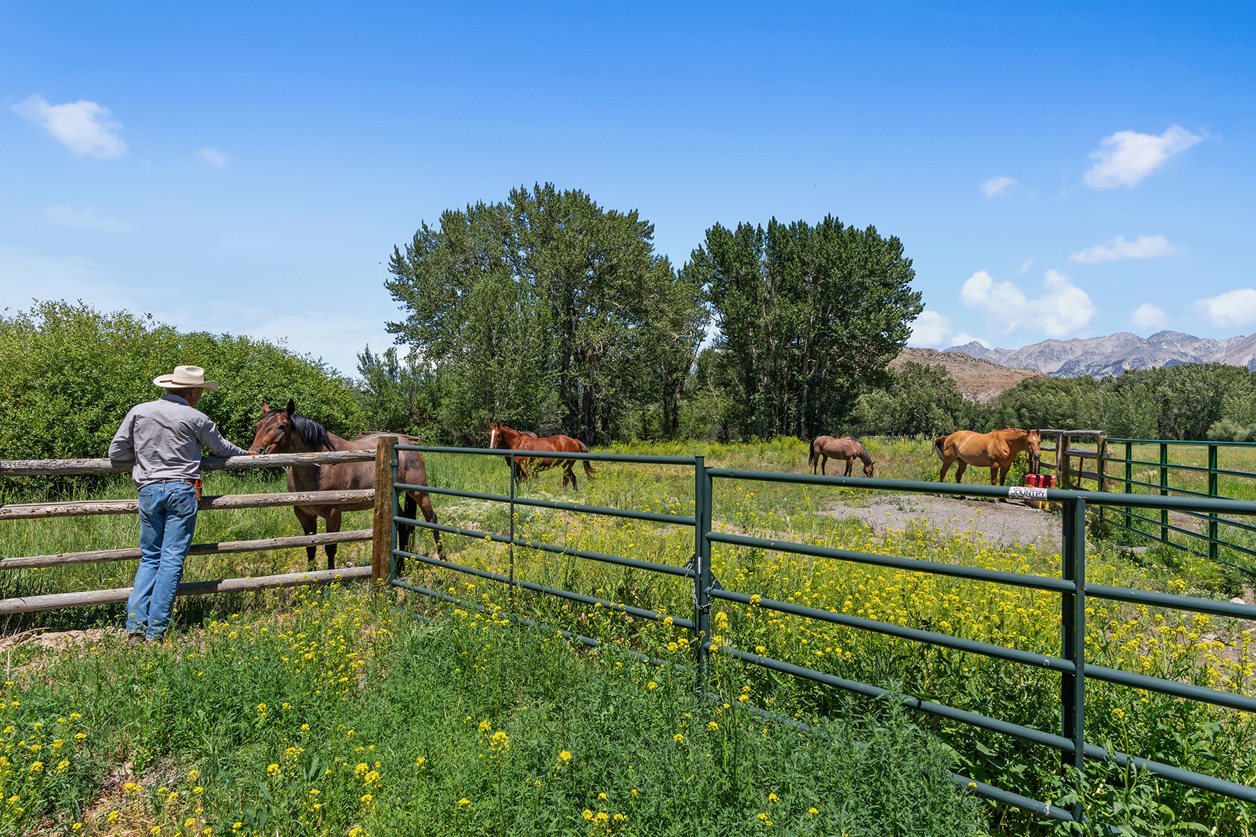 Big Lost River Ranch property picture 92 of 100
