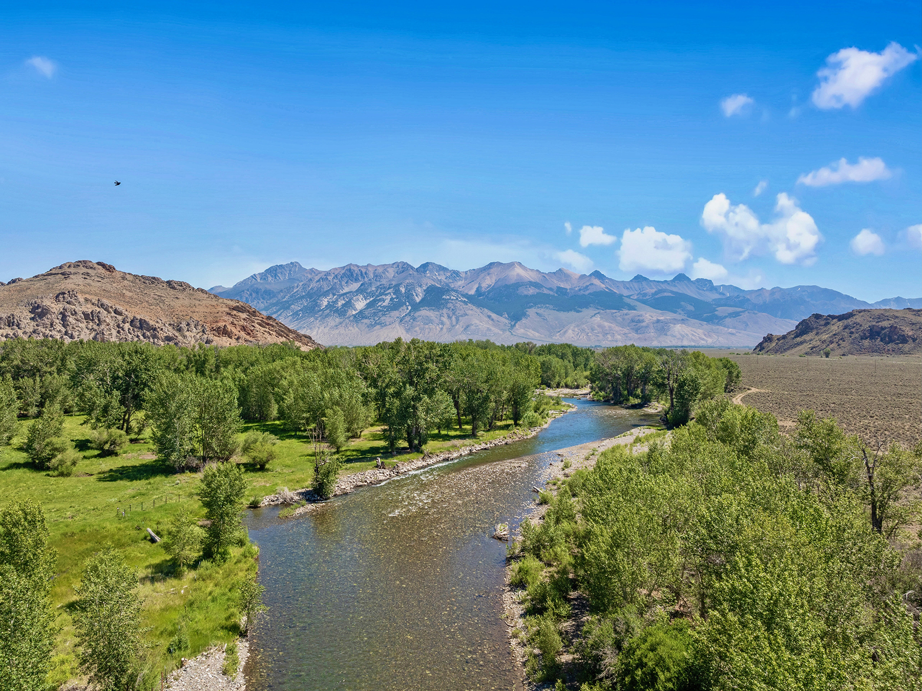 Big Lost River Ranch property picture 82 of 100