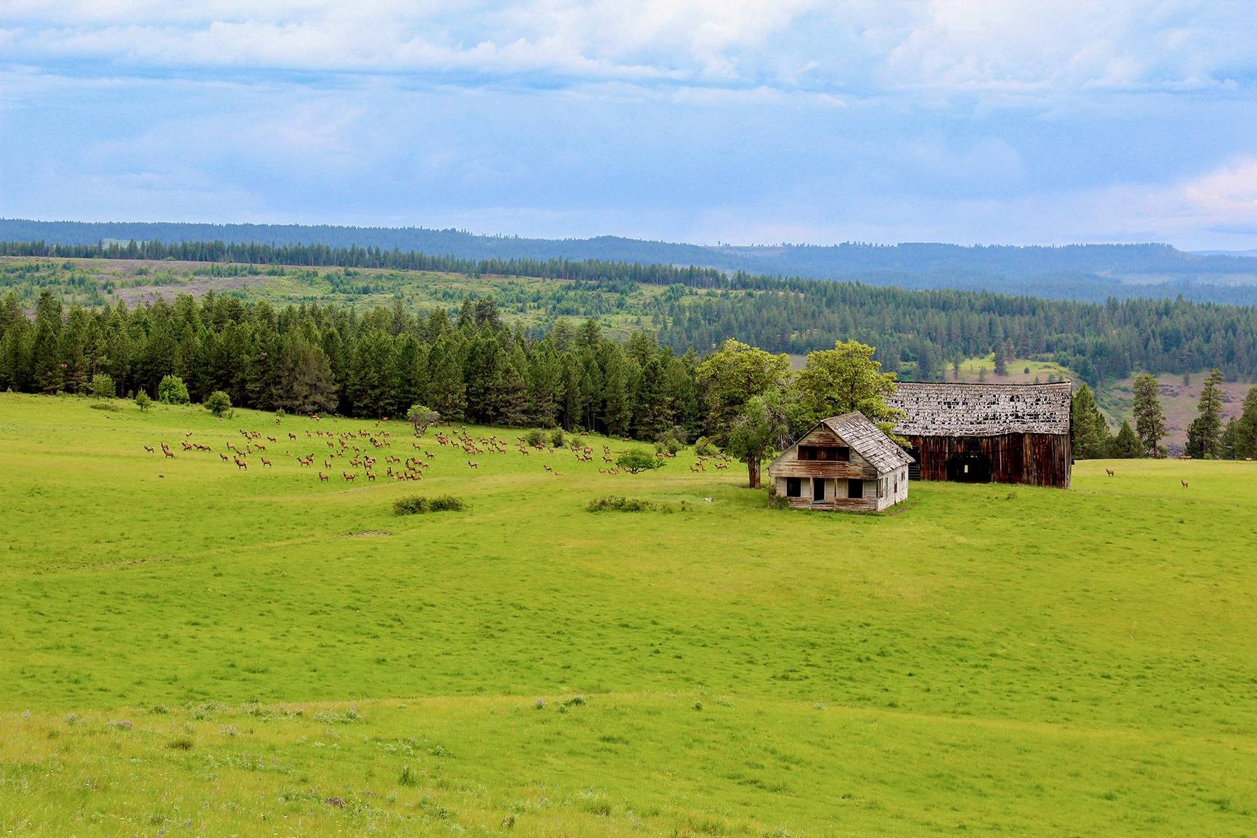 Powwatka Ranch property picture 16 of 85