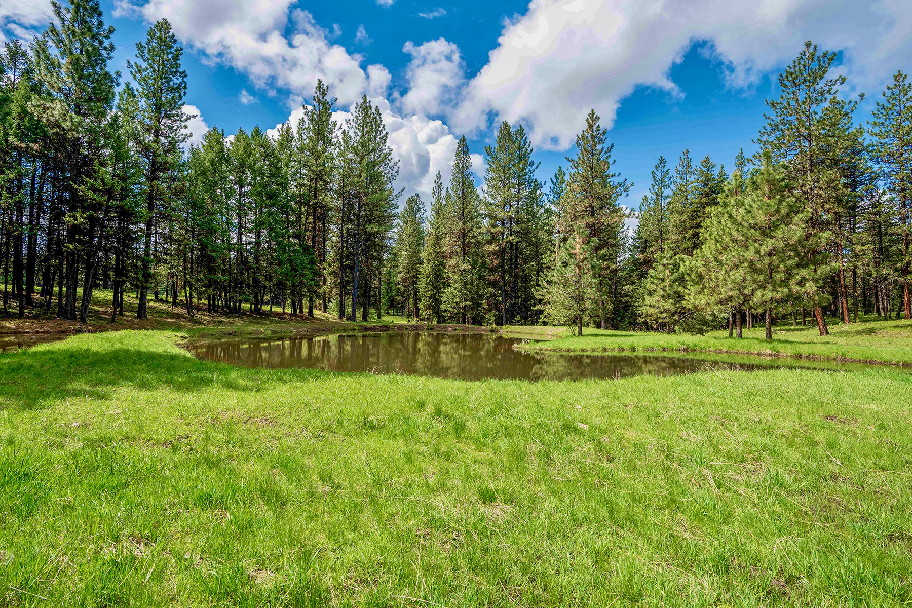 Powwatka Ranch property picture 70 of 85