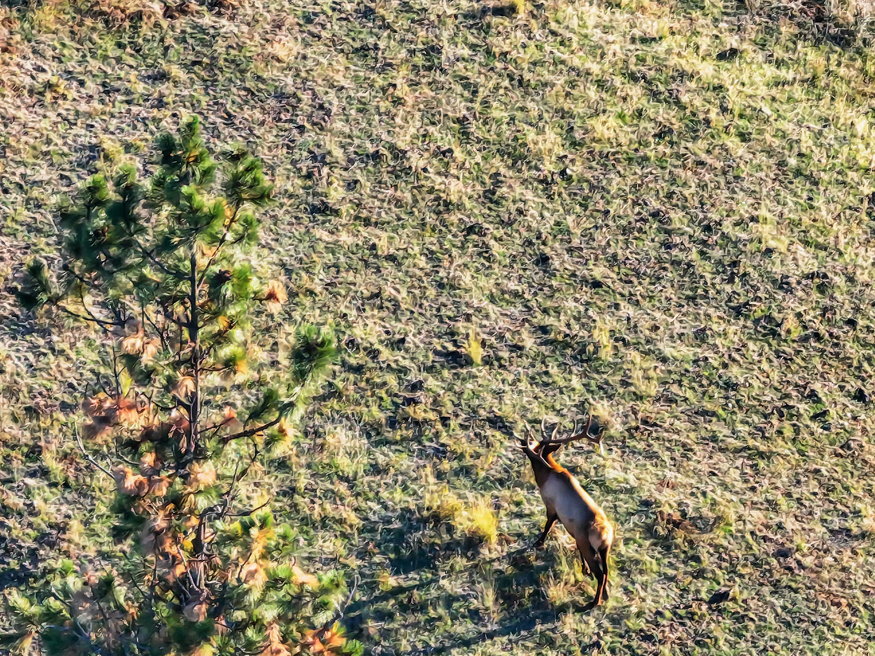 Powwatka Ranch property picture 25 of 85