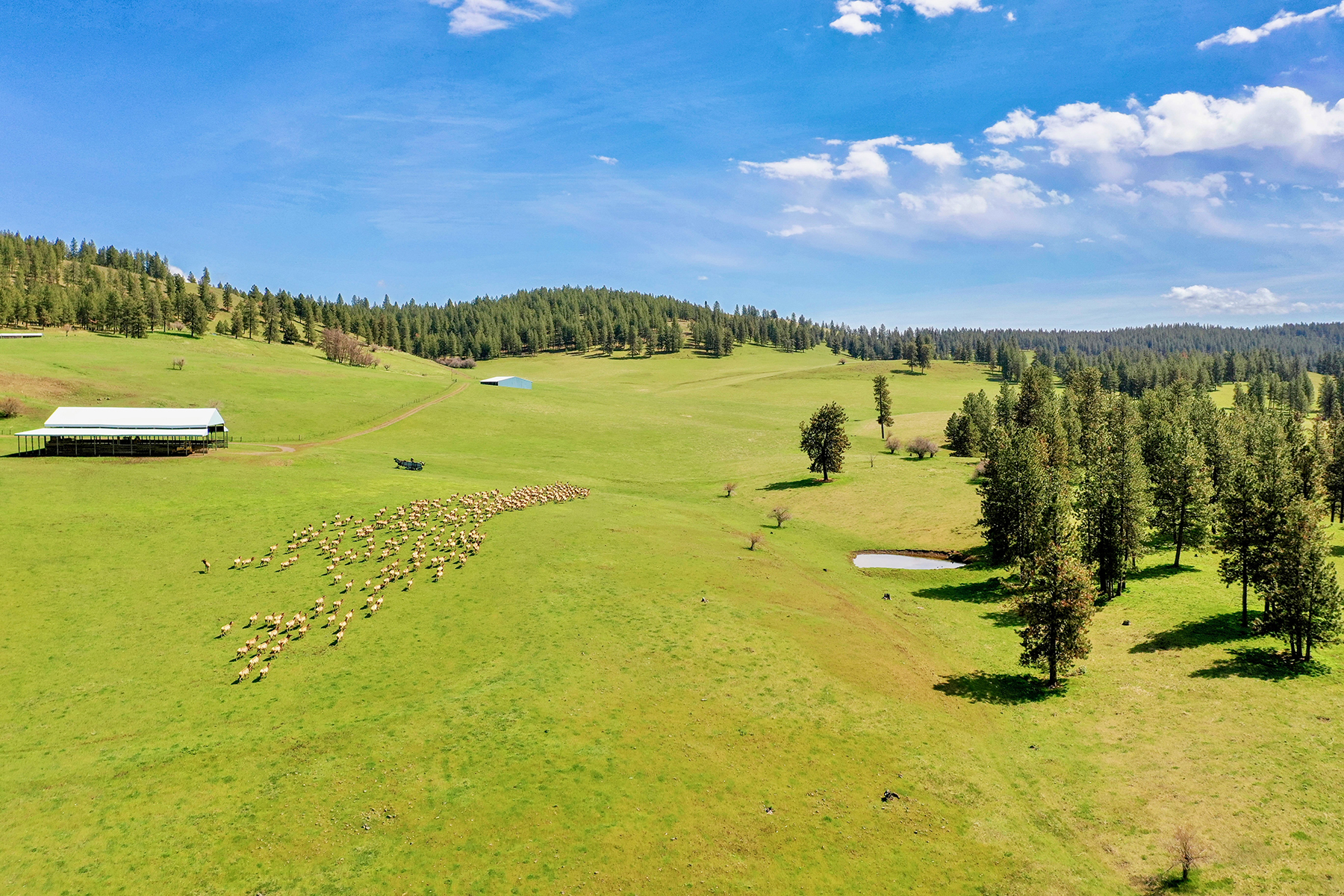 Powwatka Ranch property picture 15 of 85
