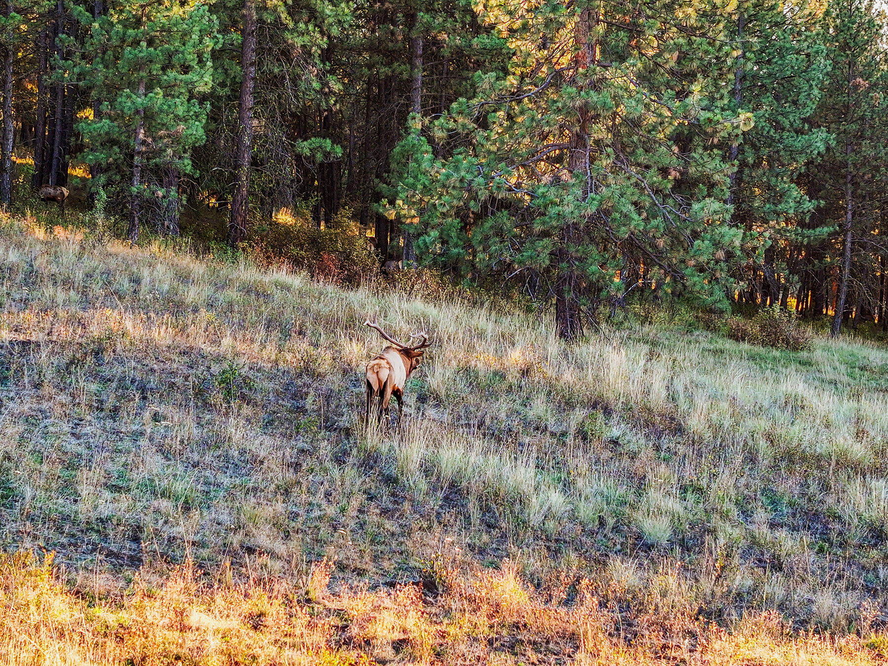 Powwatka Ranch property picture 19 of 85