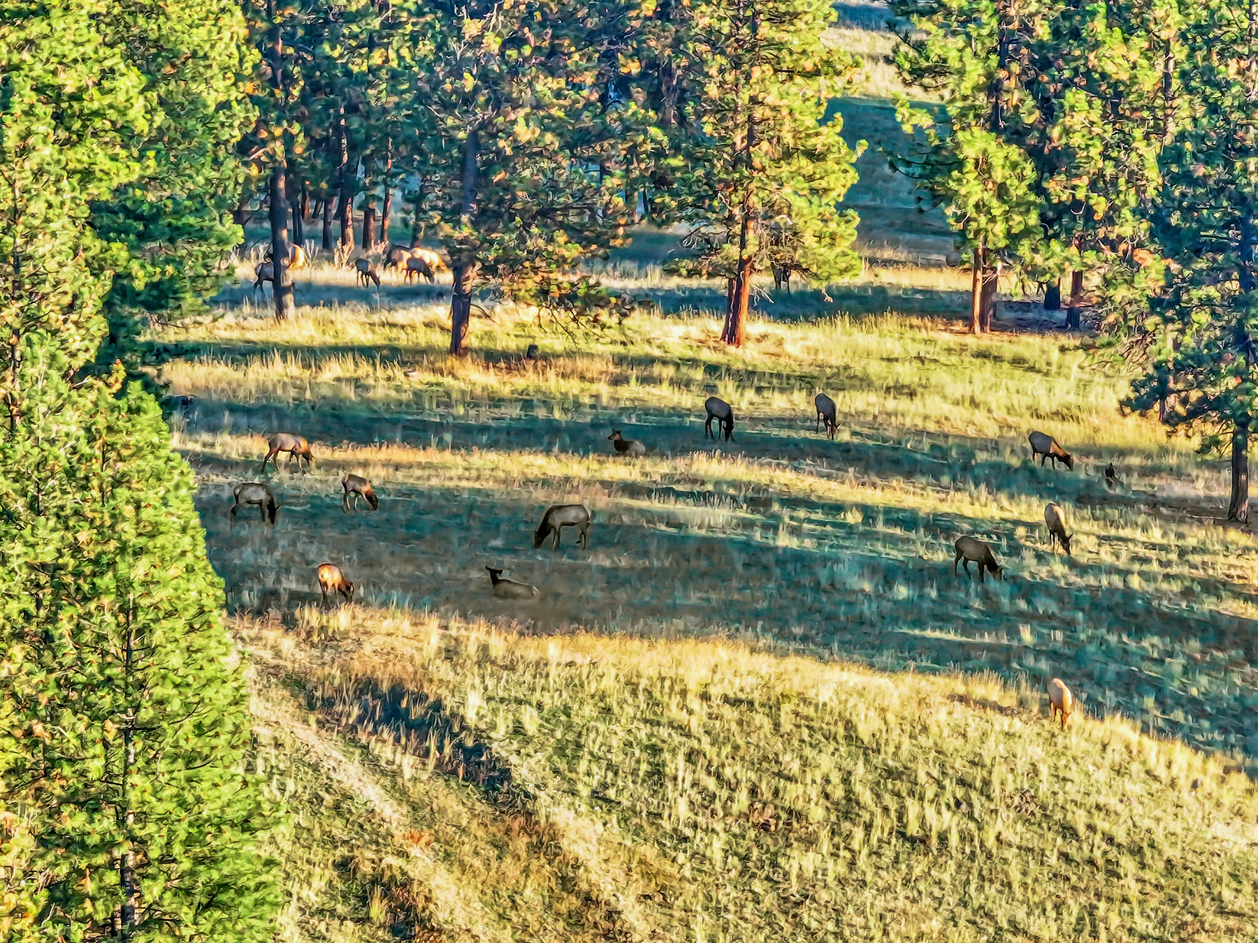 Powwatka Ranch property picture 24 of 85