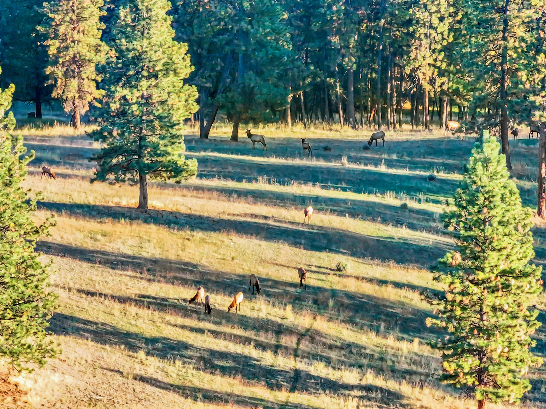 Powwatka Ranch property picture 18 of 85