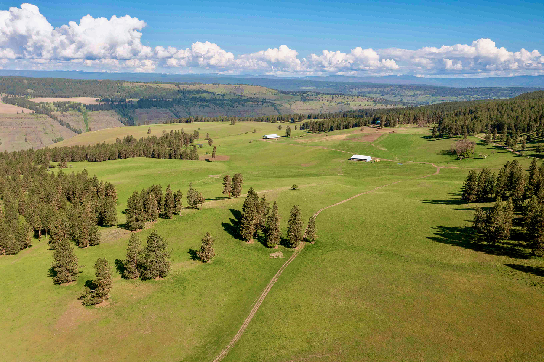 Powwatka Ranch property picture 64 of 85