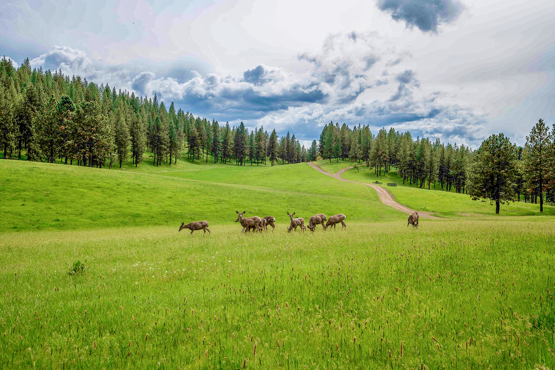Powwatka Ranch property picture 12 of 85