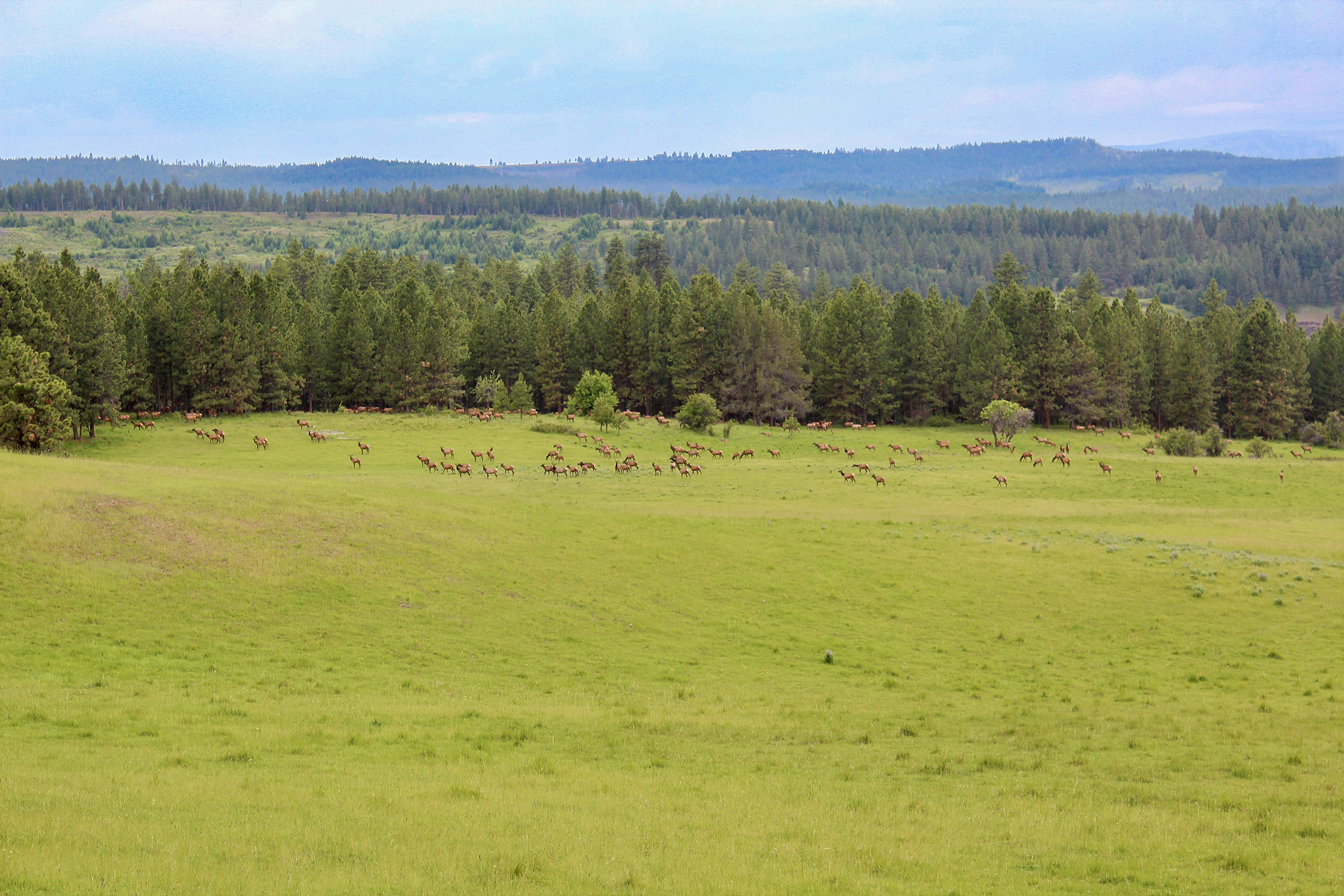 Powwatka Ranch property picture 14 of 85