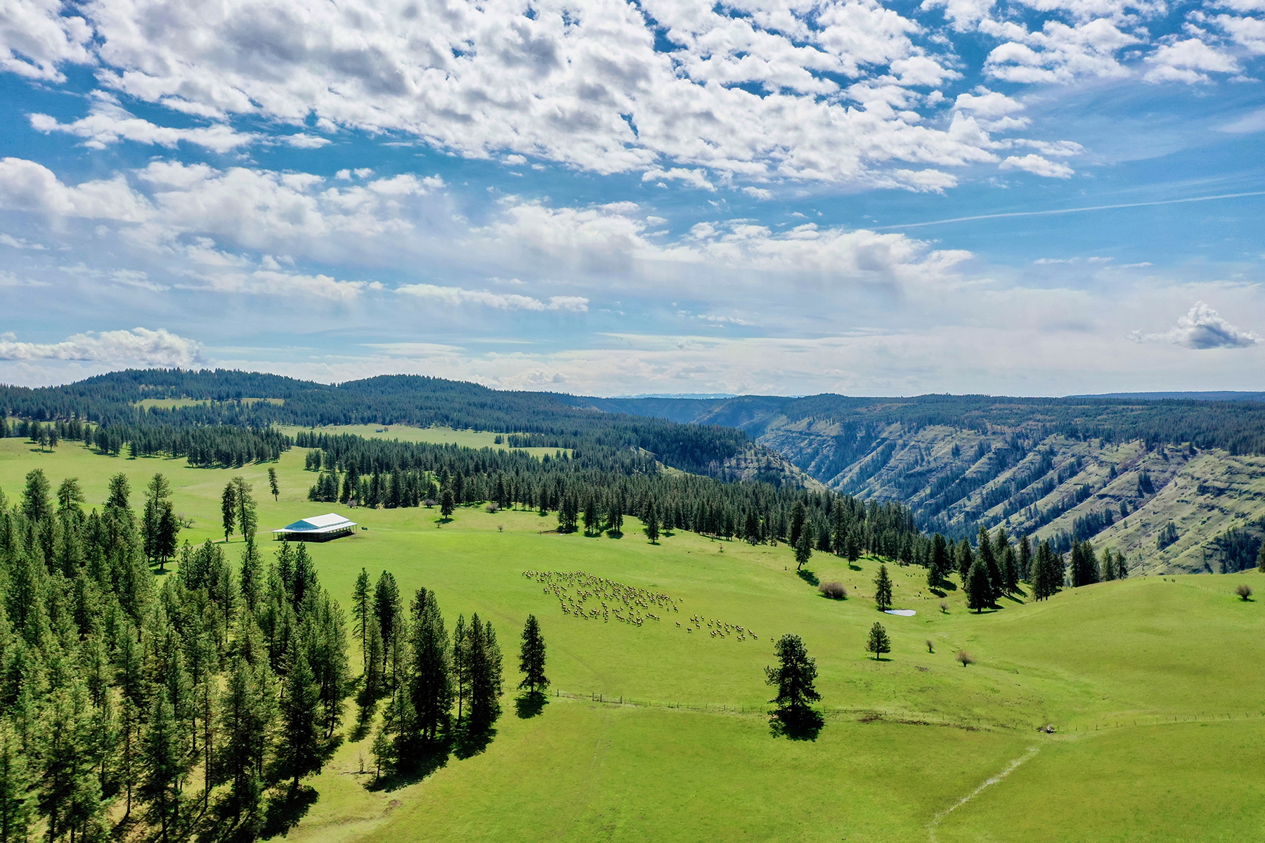Powwatka Ranch property picture 13 of 85