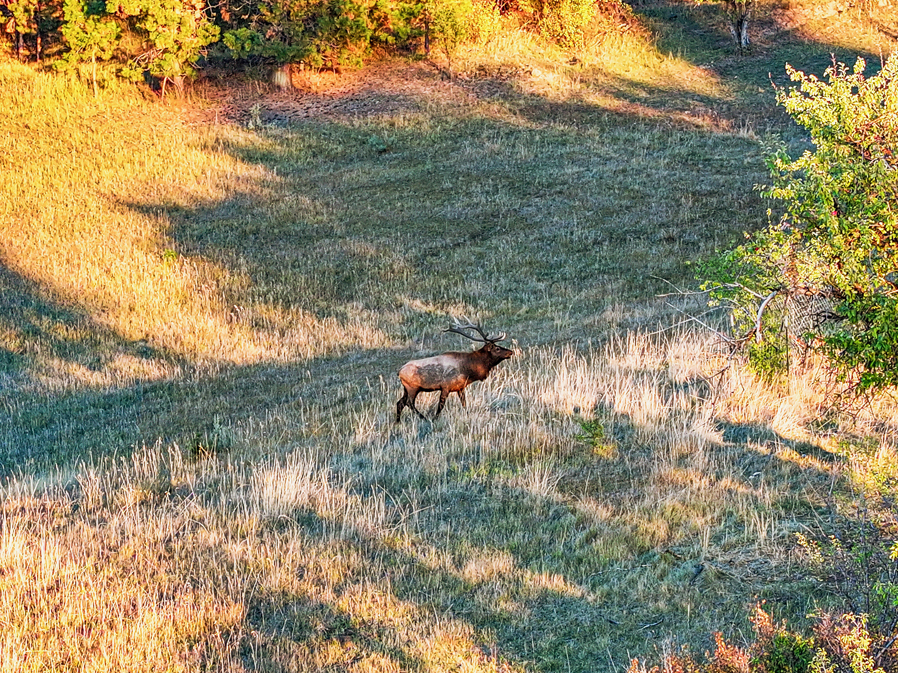 Powwatka Ranch property picture 22 of 85