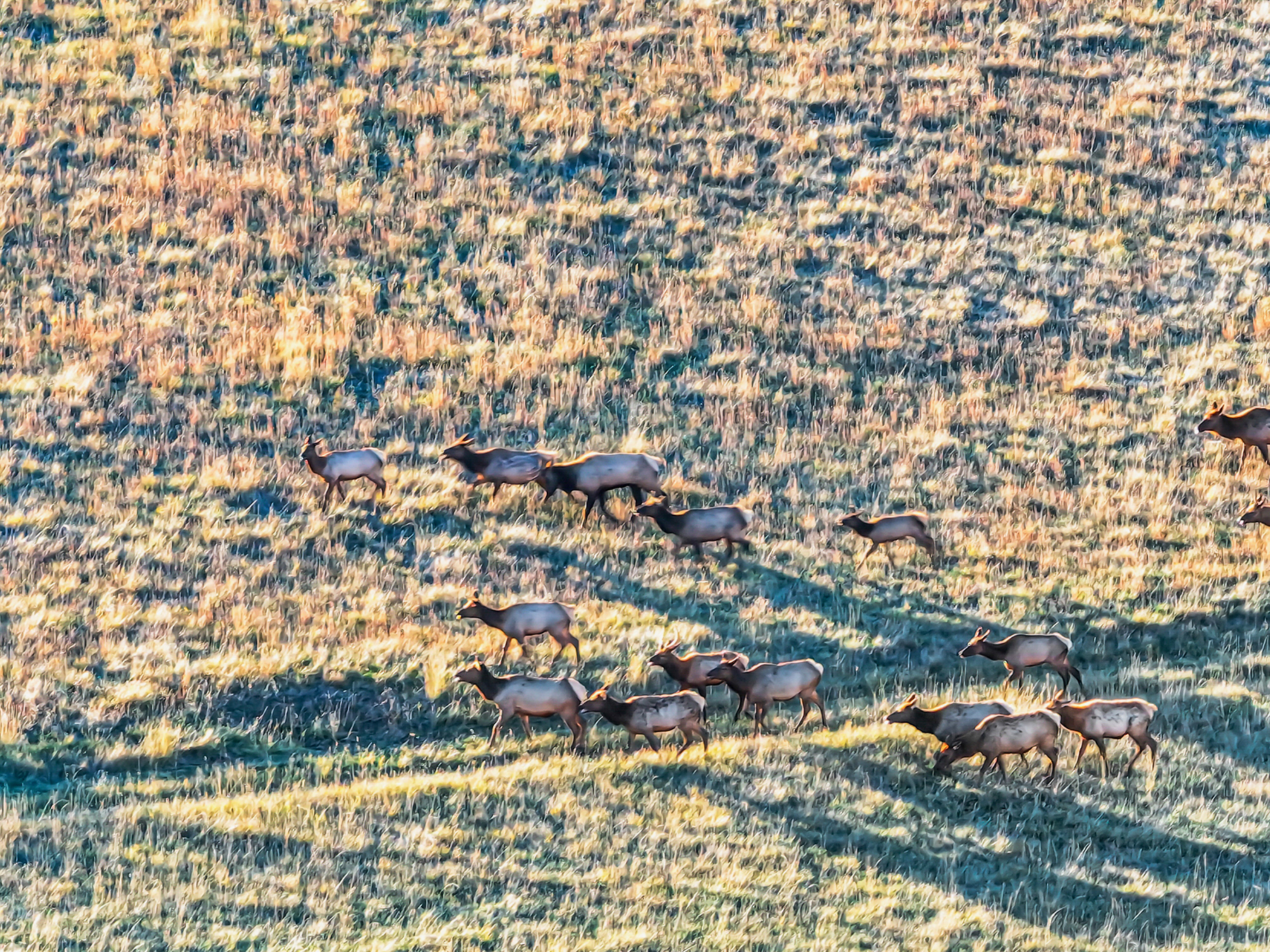 Powwatka Ranch property picture 21 of 85