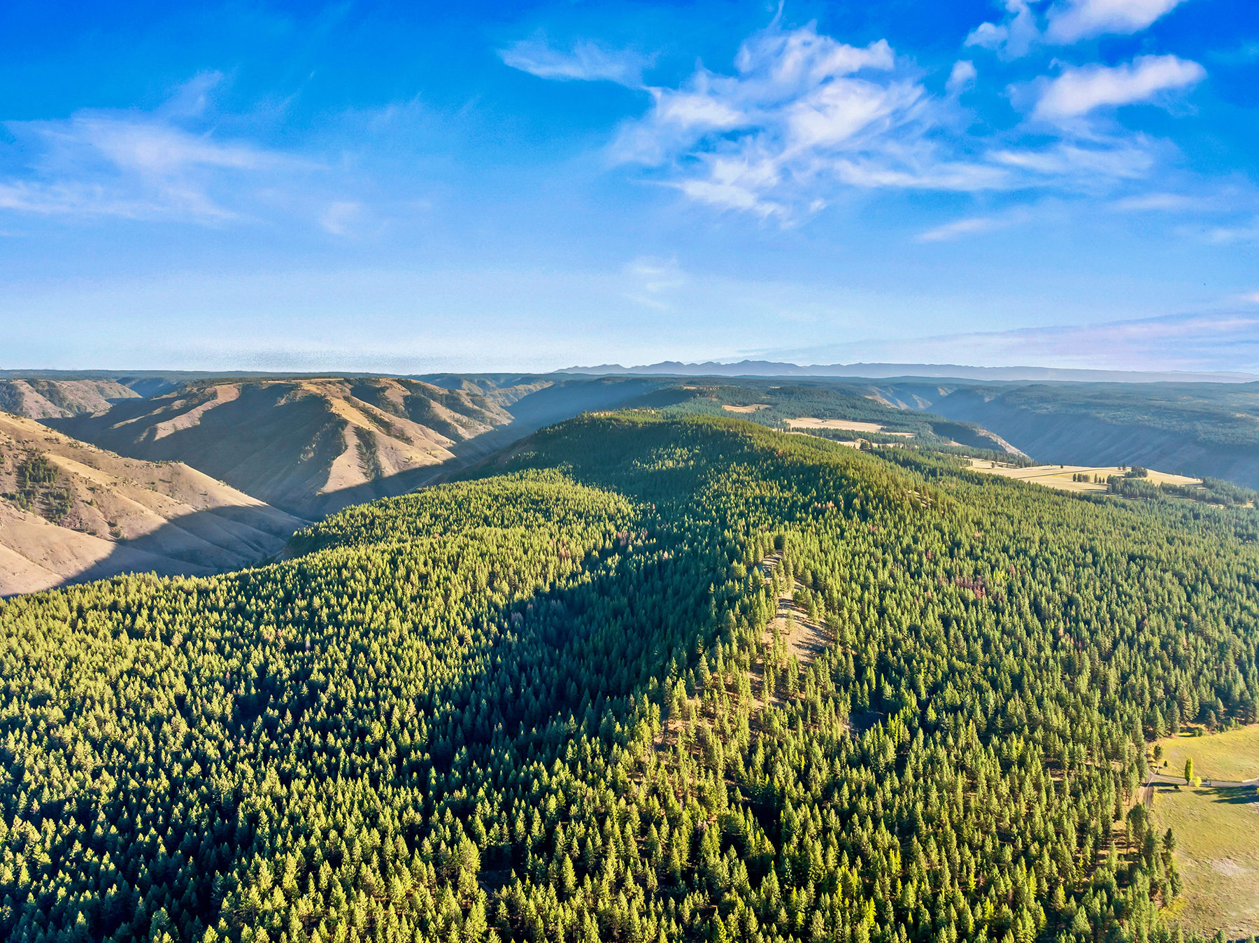 Powwatka Ranch property picture 5 of 85