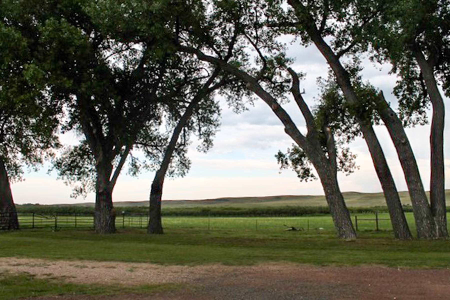Horse Creek Vista property picture 8 of 19