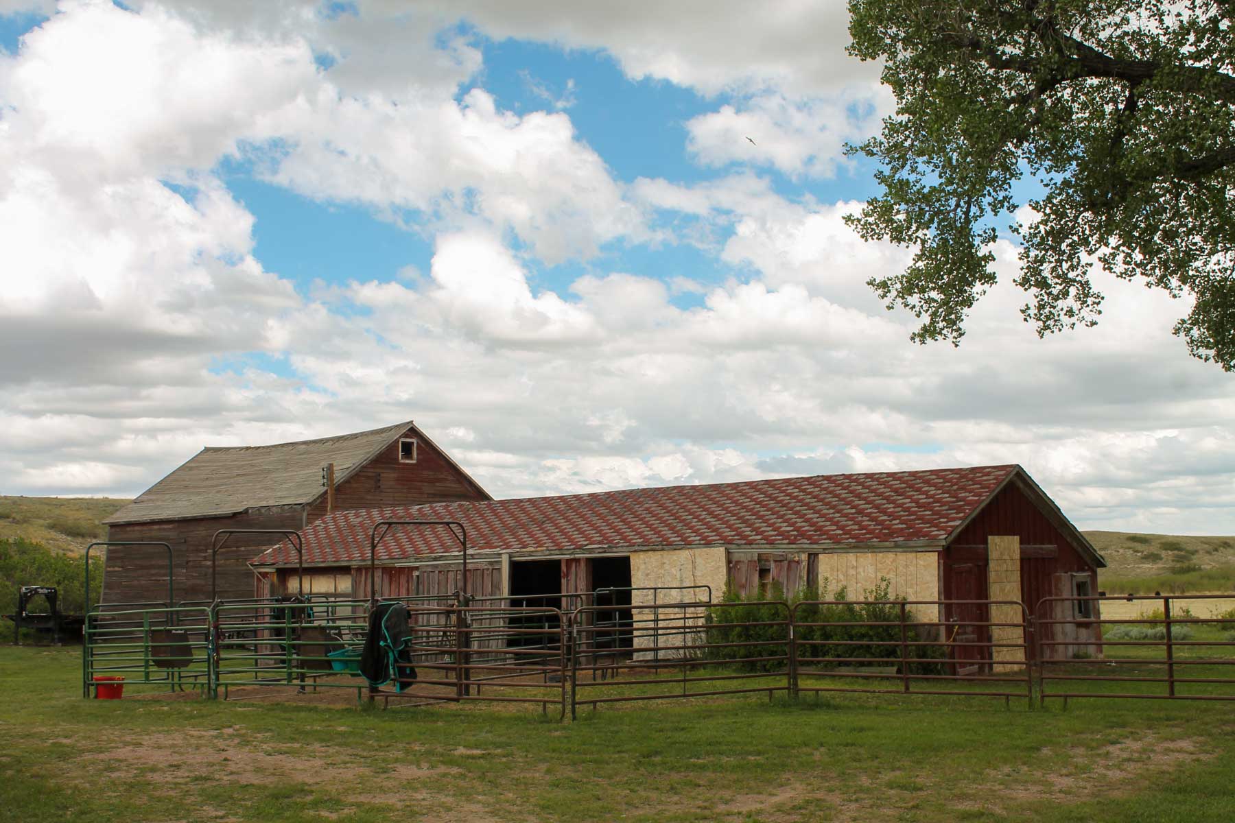 Horse Creek Vista property picture 3 of 19