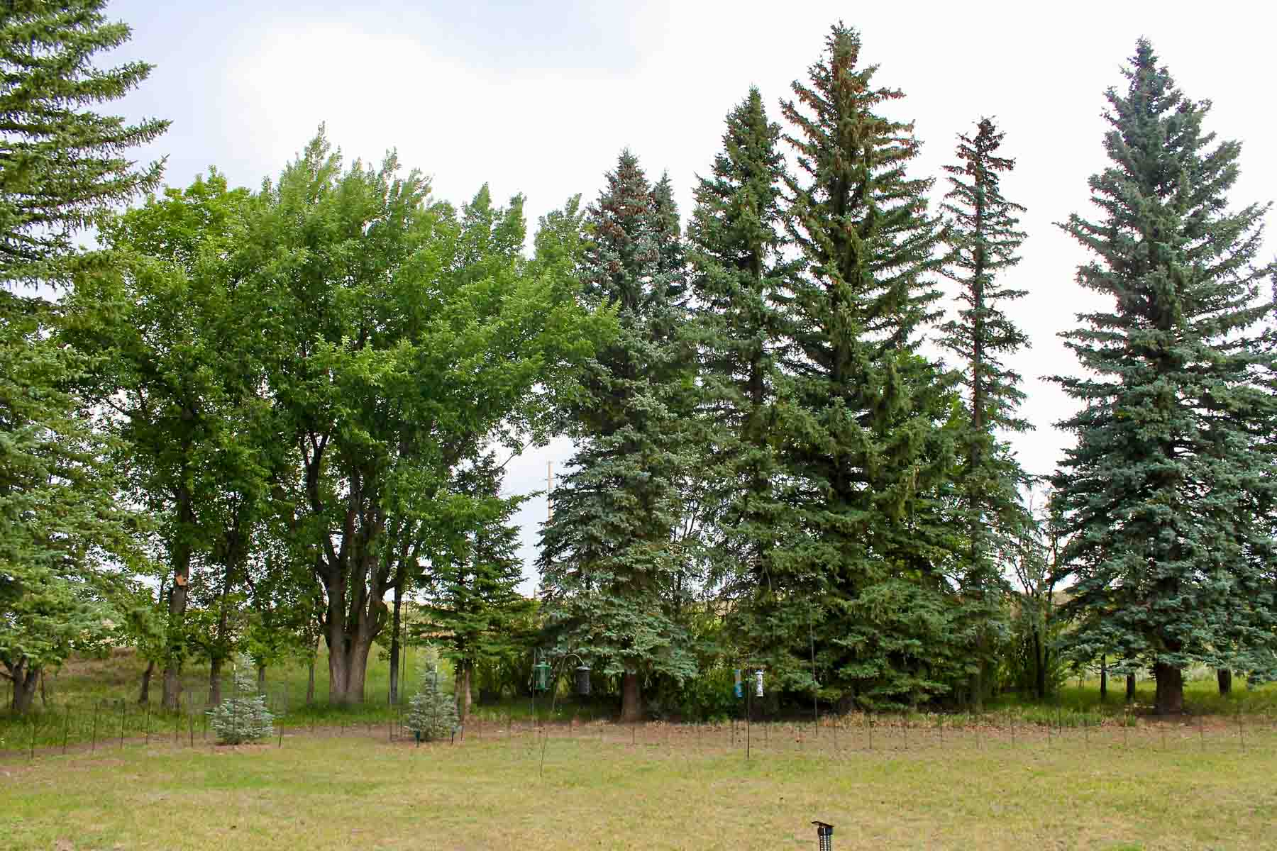 Horse Creek Vista property picture 9 of 19