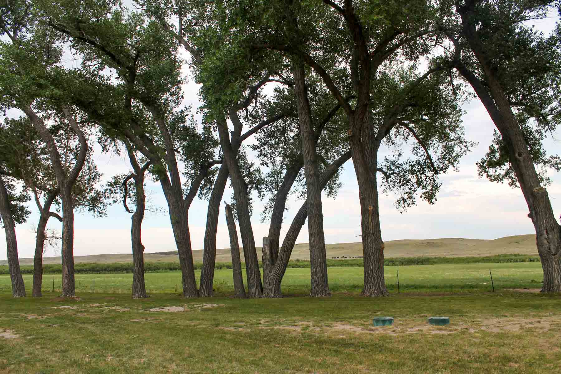 Horse Creek Vista property picture 2 of 19