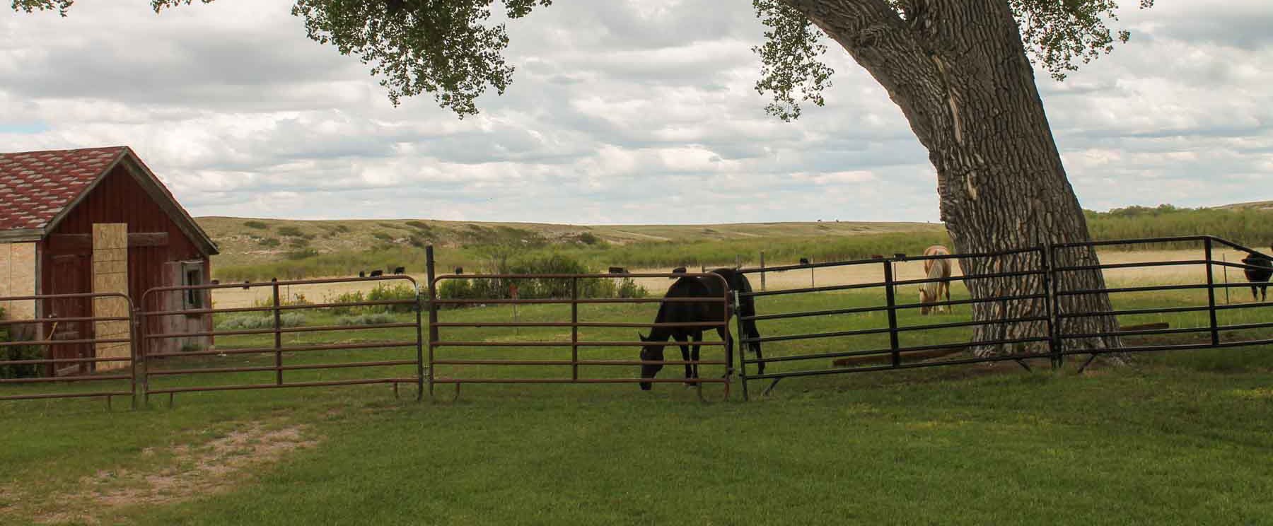 Horse Creek Vista property picture 1 of 19
