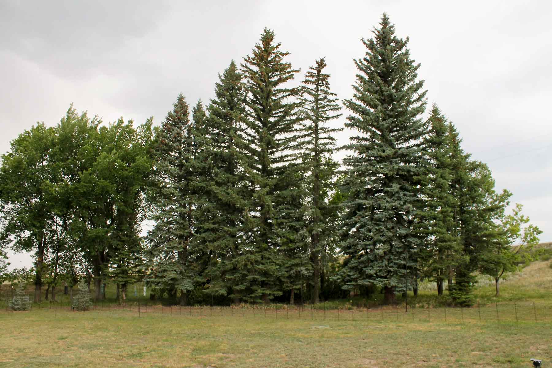 Horse Creek Vista property picture 14 of 19