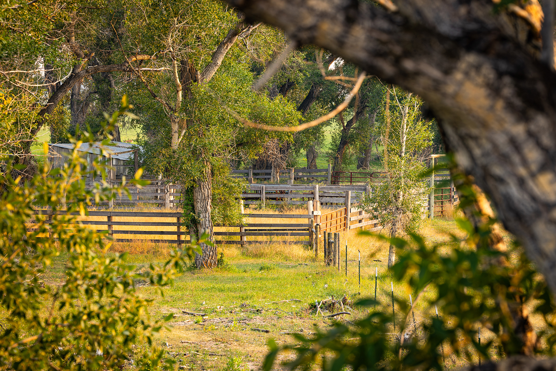 Sun River Equestrian property picture 38 of 48