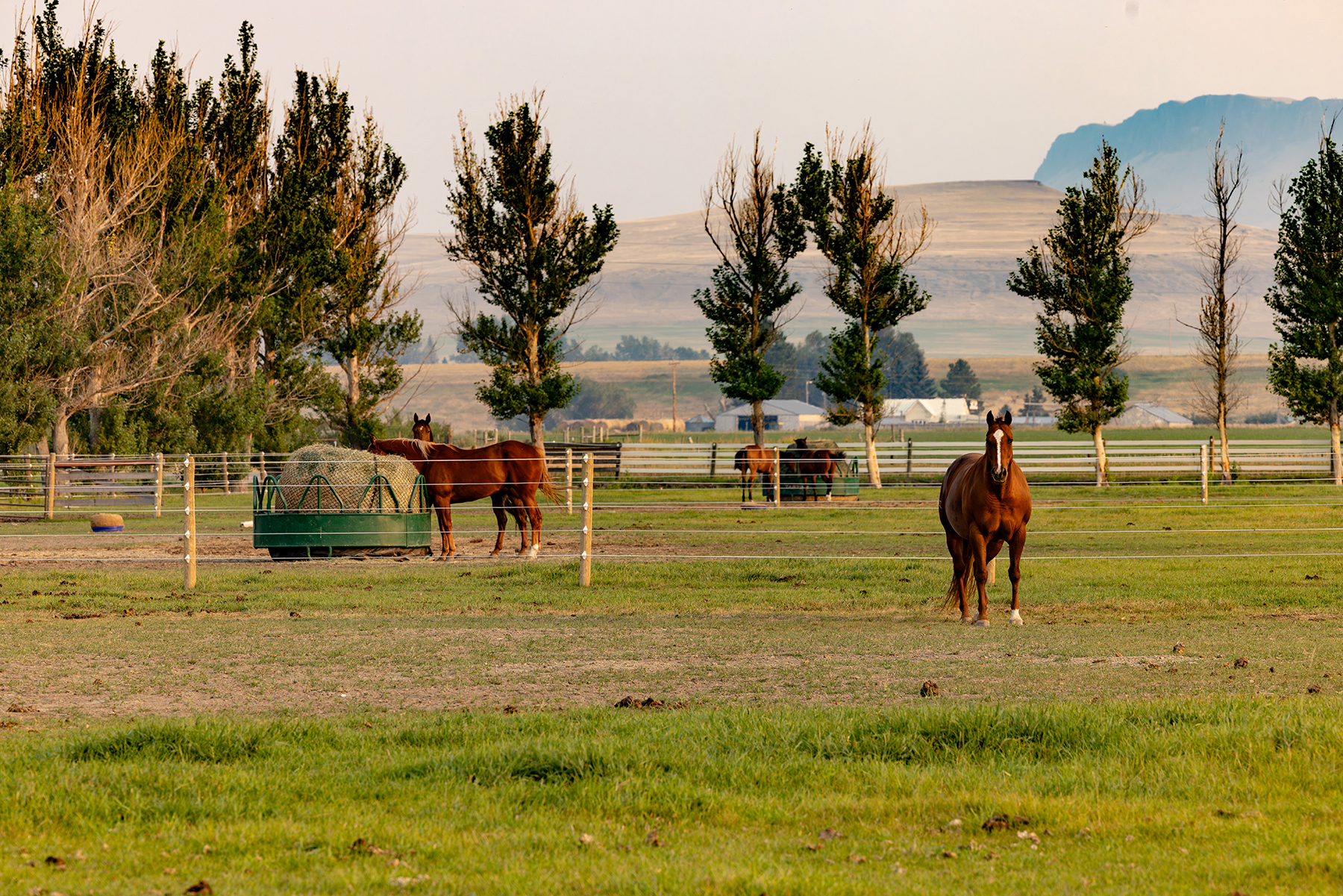 Sun River Equestrian property picture 6 of 48