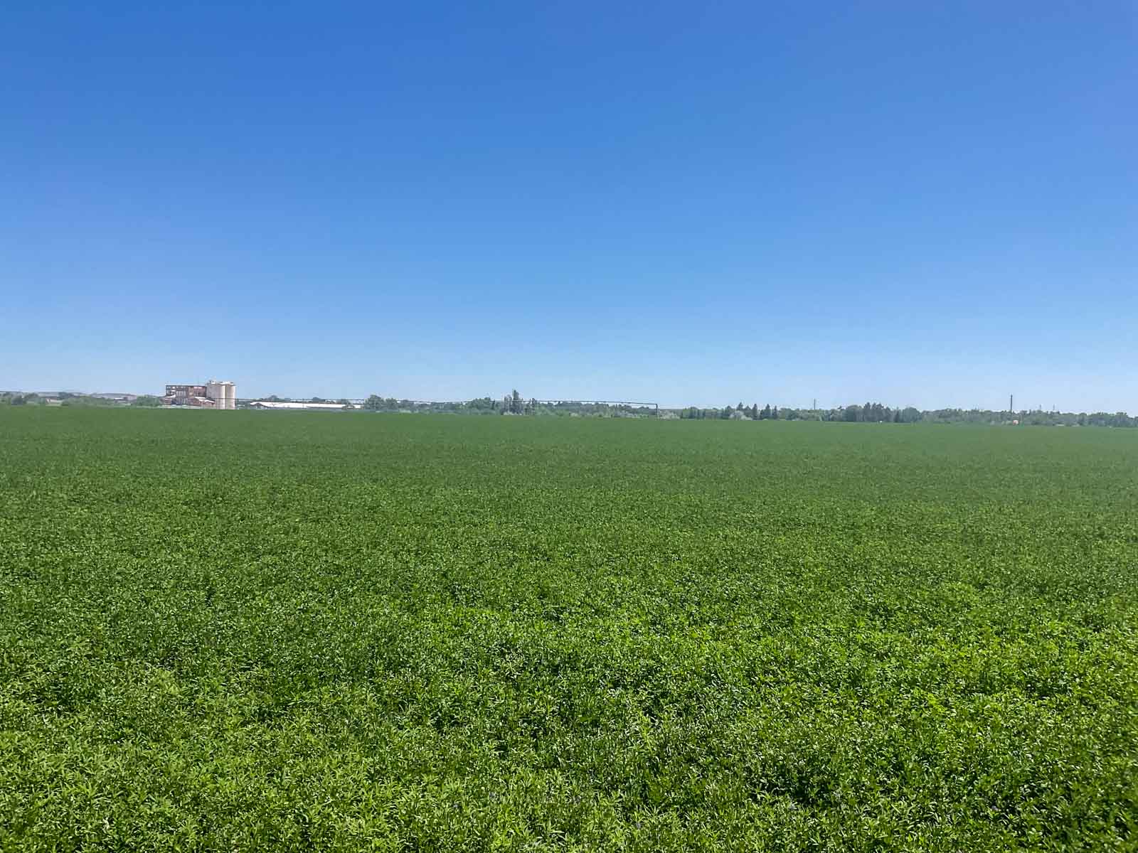 16th Street Farm property picture 1 of 12