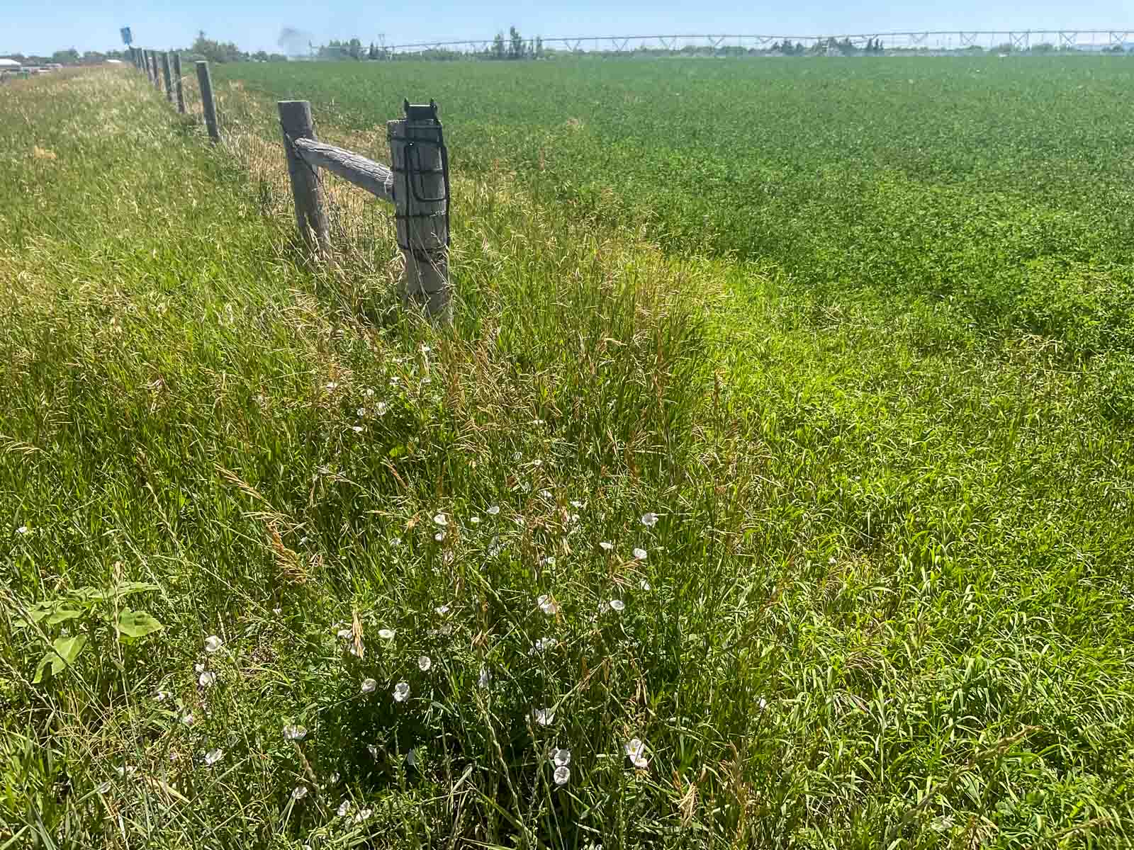 16th Street Farm property picture 3 of 12
