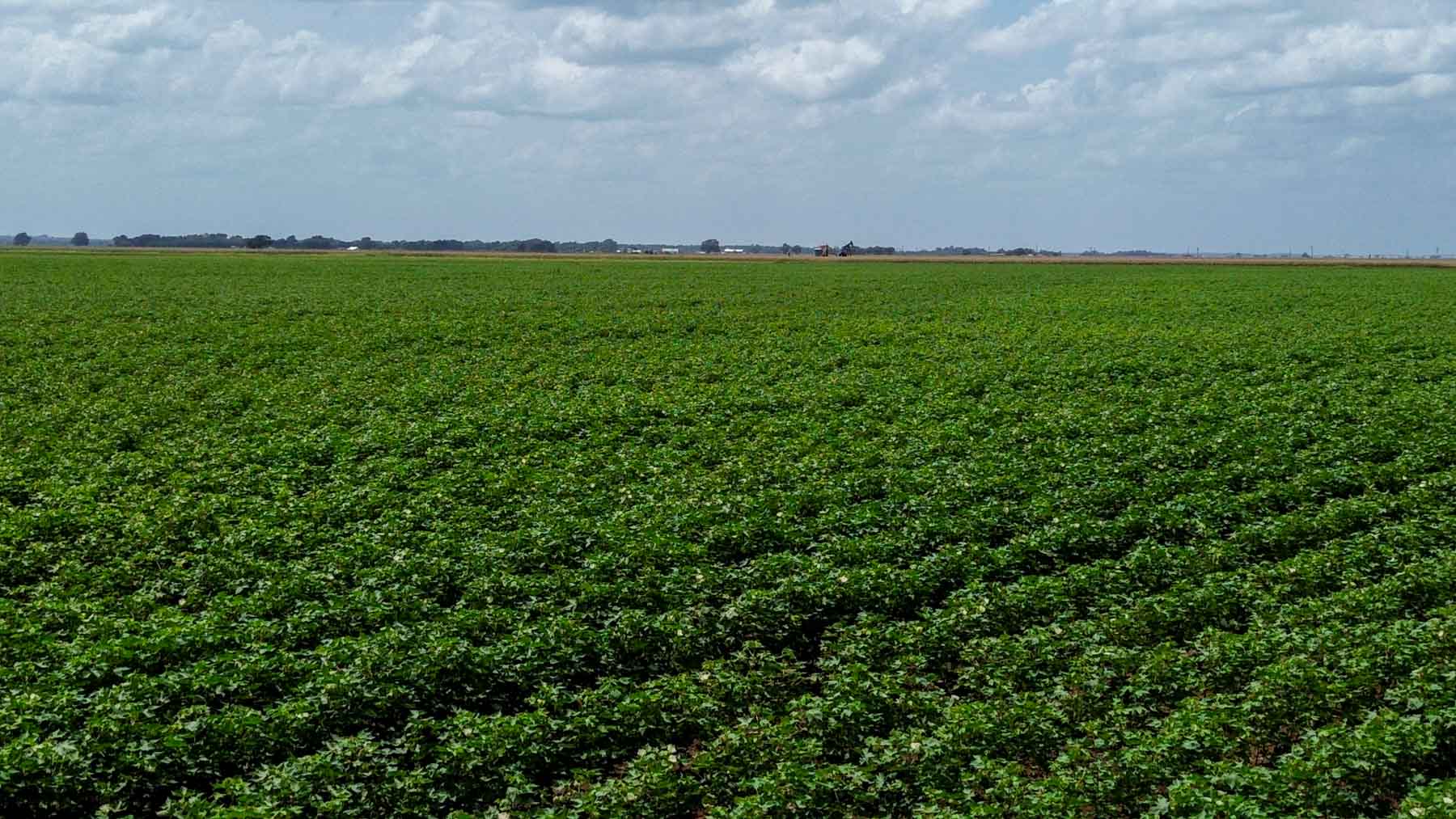 Sims Lane Irrigated Farm property picture 13 of 26