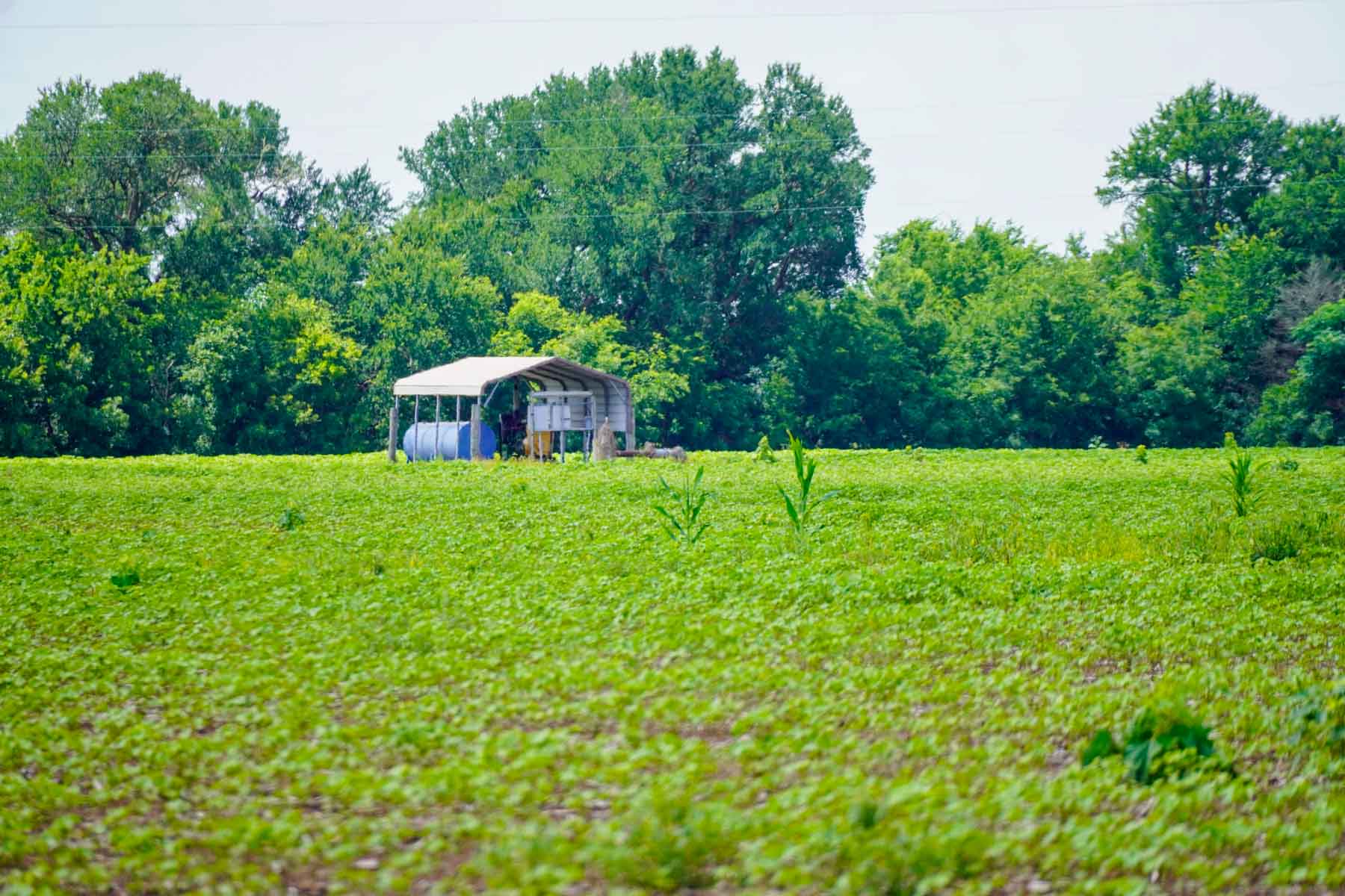 Sims Lane Irrigated Farm property picture 9 of 26