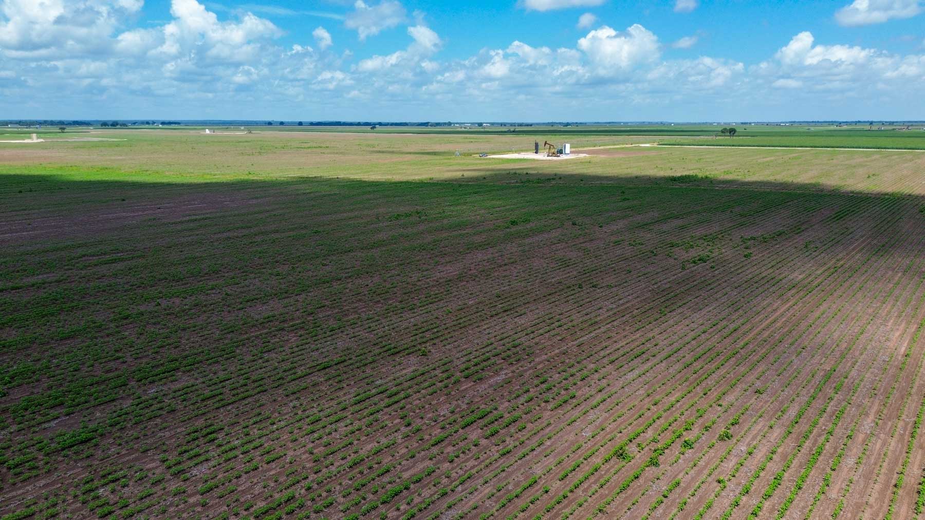 Sims Lane Irrigated Farm property picture 14 of 26