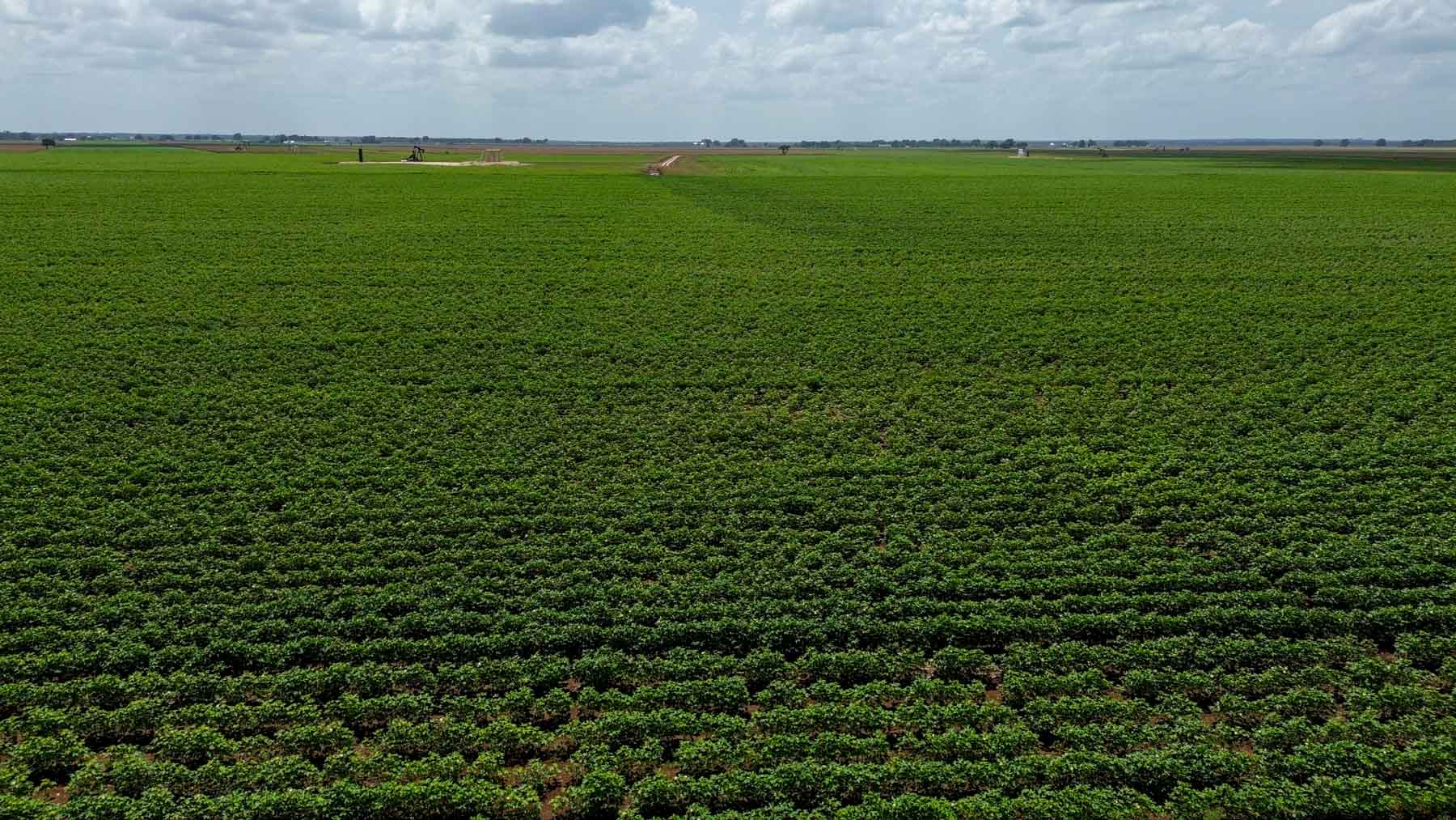 Sims Lane Irrigated Farm property picture 17 of 26
