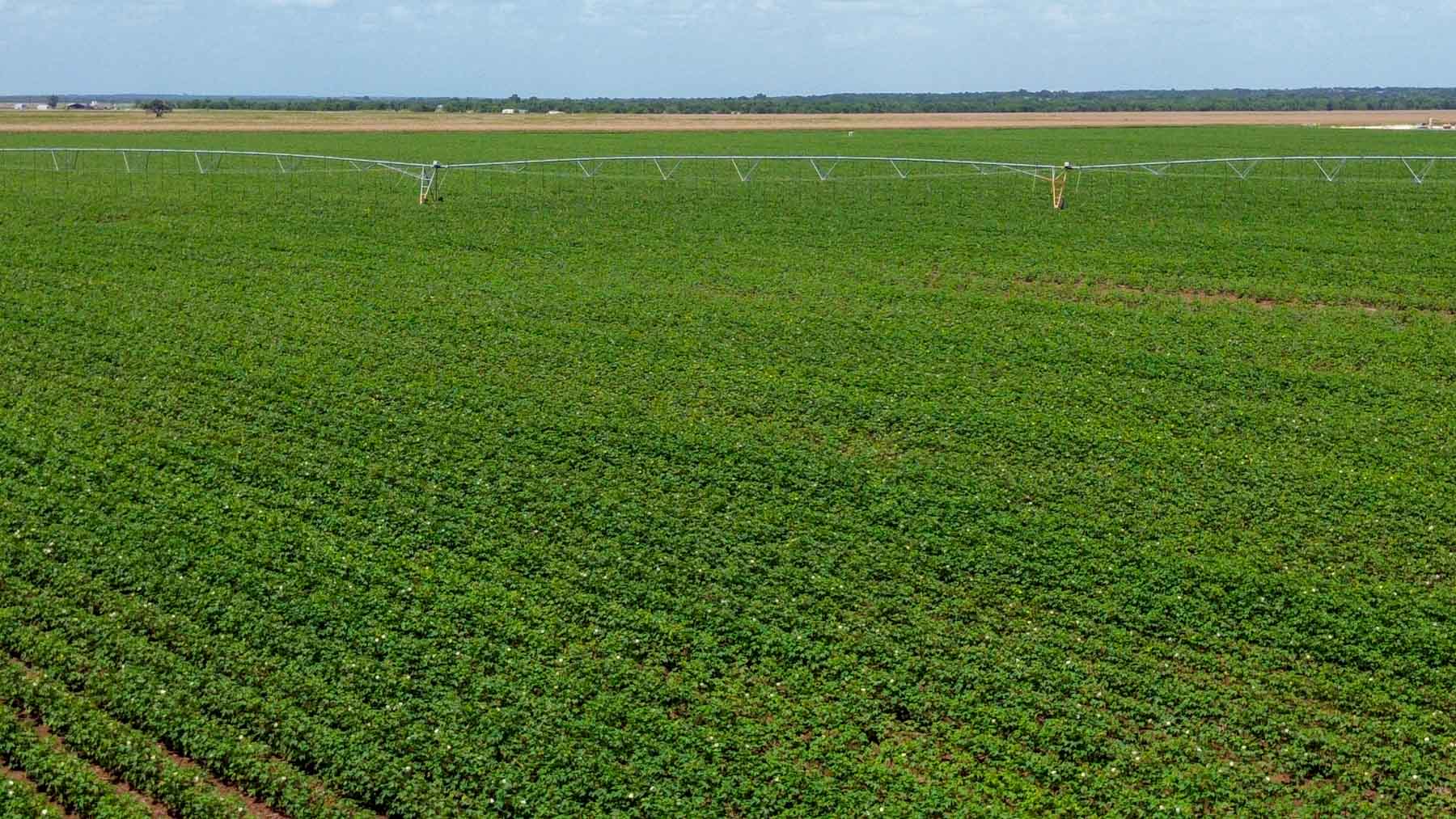 Sims Lane Irrigated Farm property picture 26 of 26
