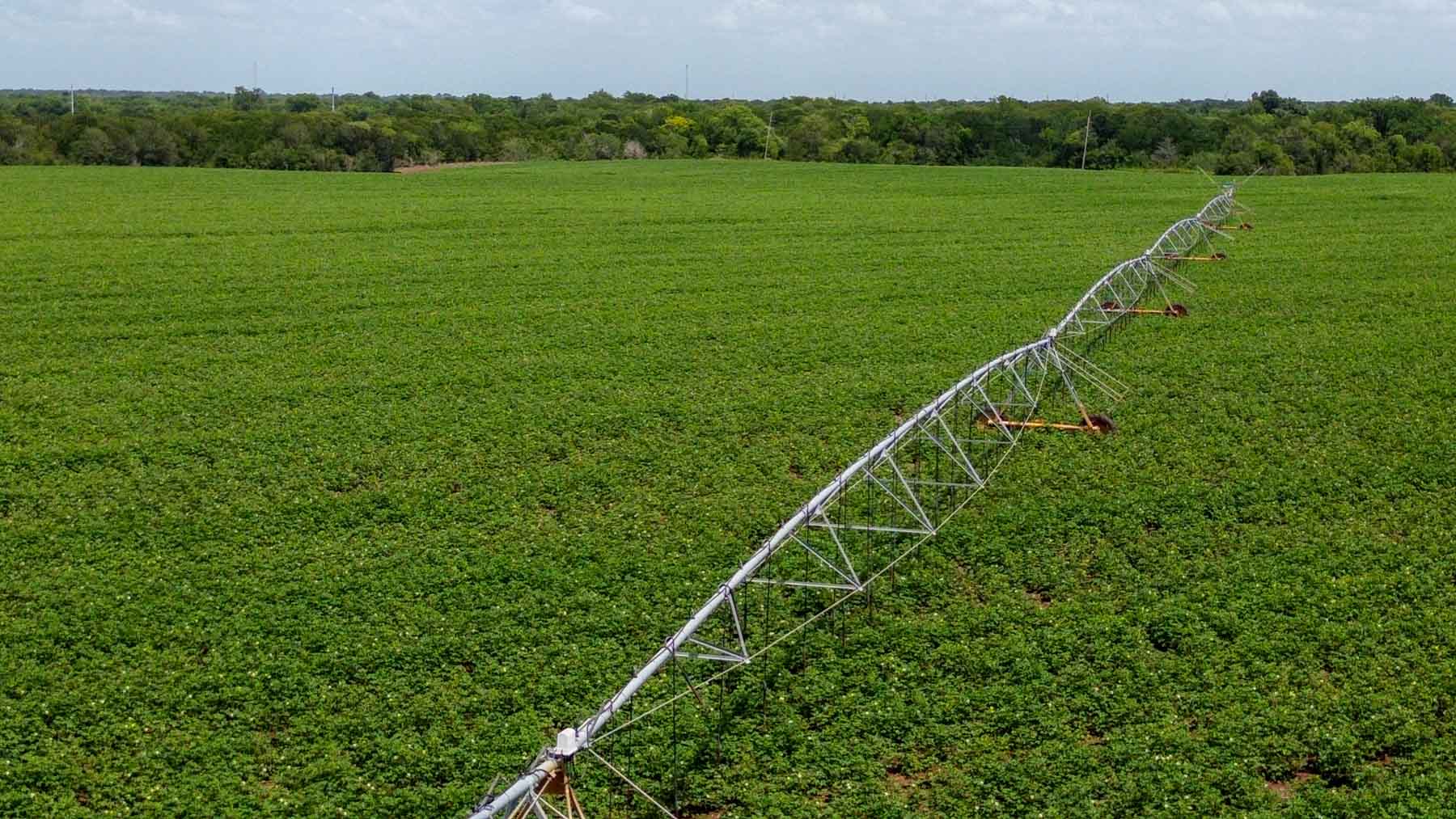 Sims Lane Irrigated Farm property picture 3 of 26