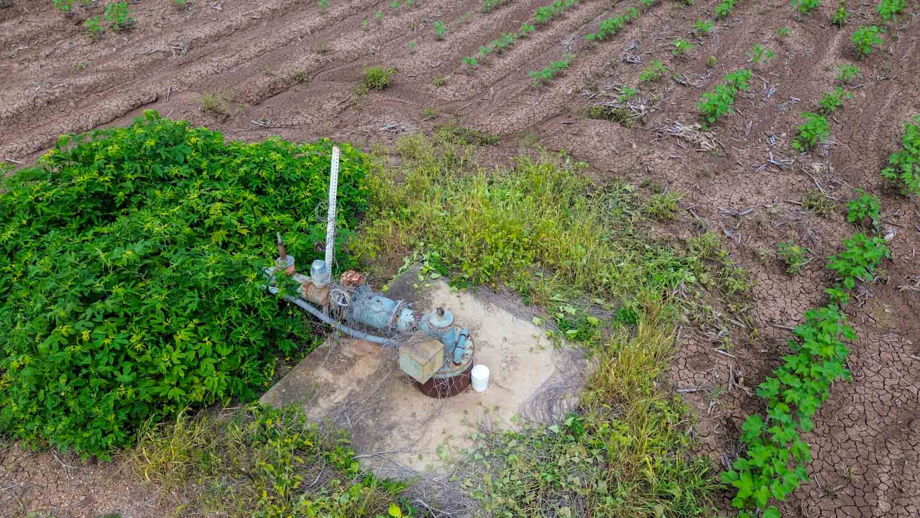 Sims Lane Irrigated Farm property picture 6 of 26