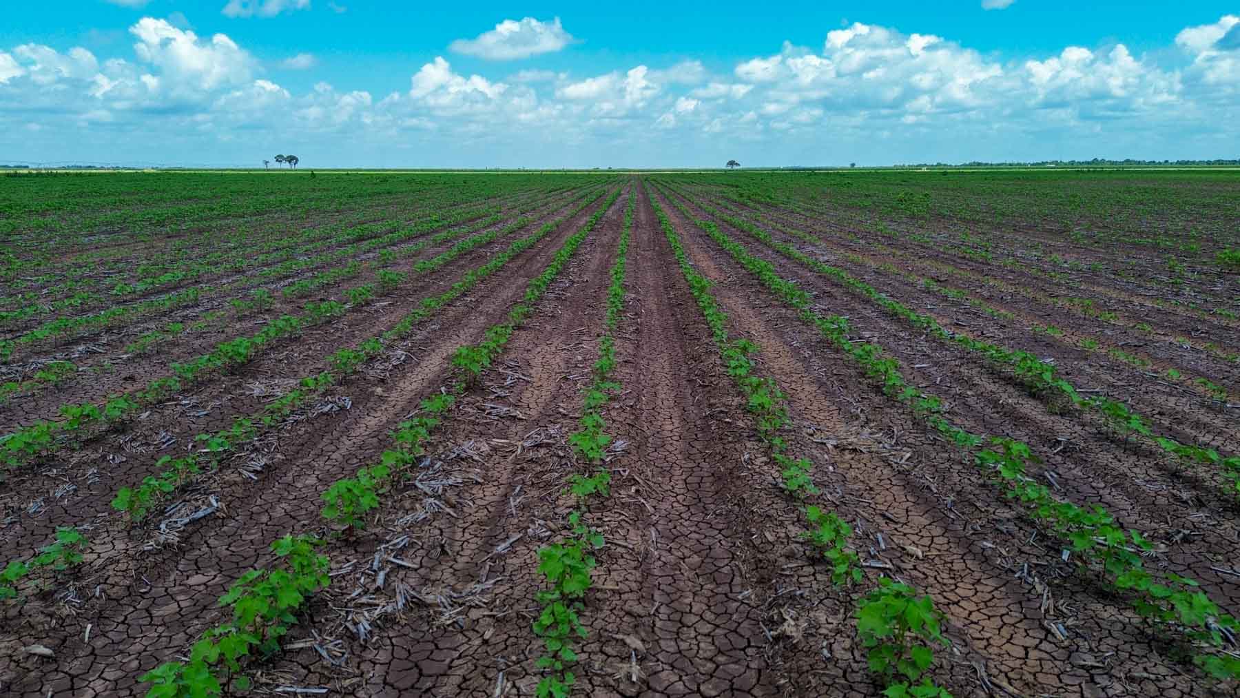 Sims Lane Irrigated Farm property picture 22 of 26