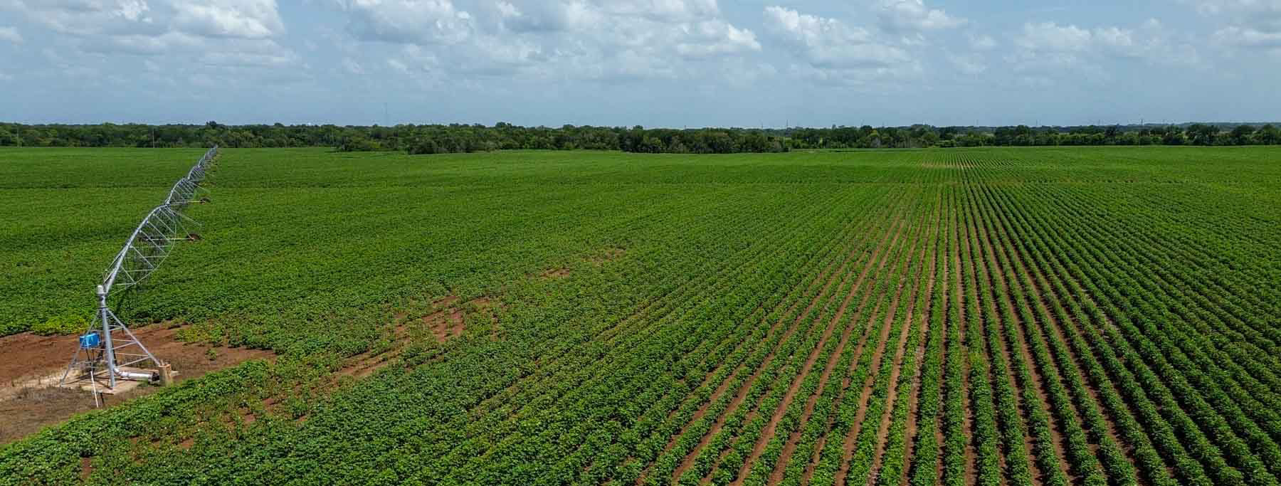 Sims Lane Irrigated Farm property picture 1 of 26