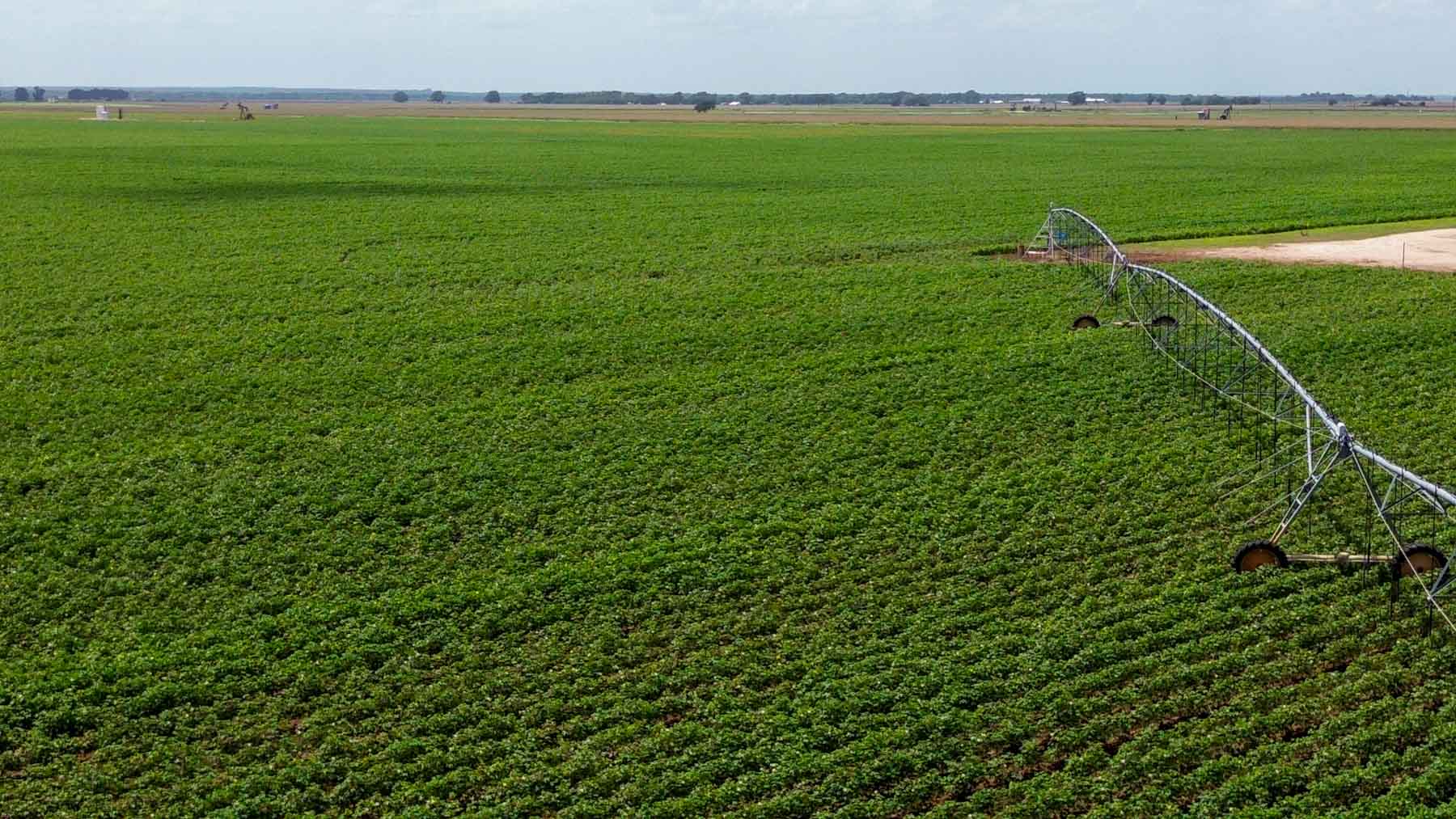Sims Lane Irrigated Farm property picture 20 of 26