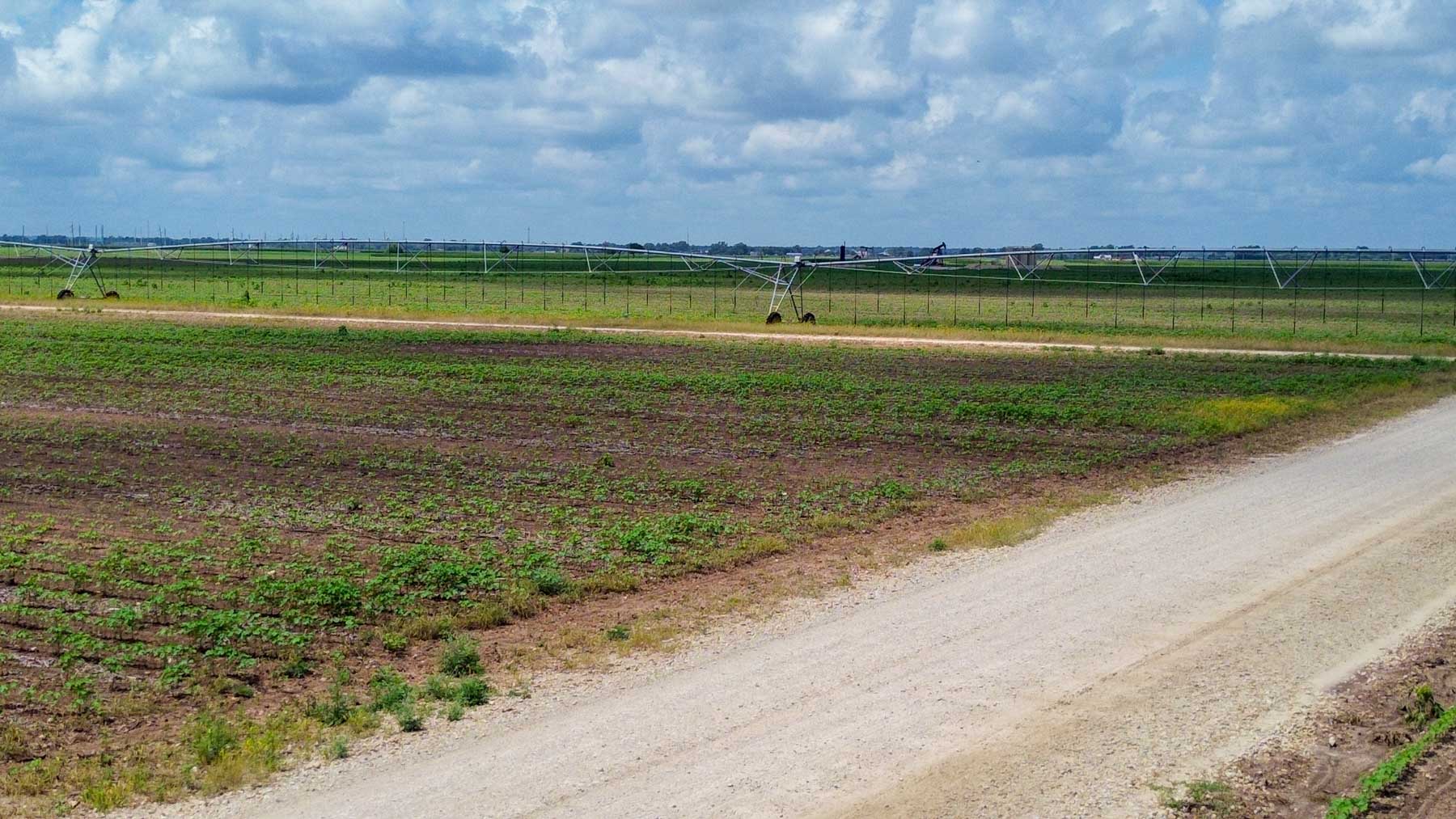 Sims Lane Irrigated Farm property picture 23 of 26