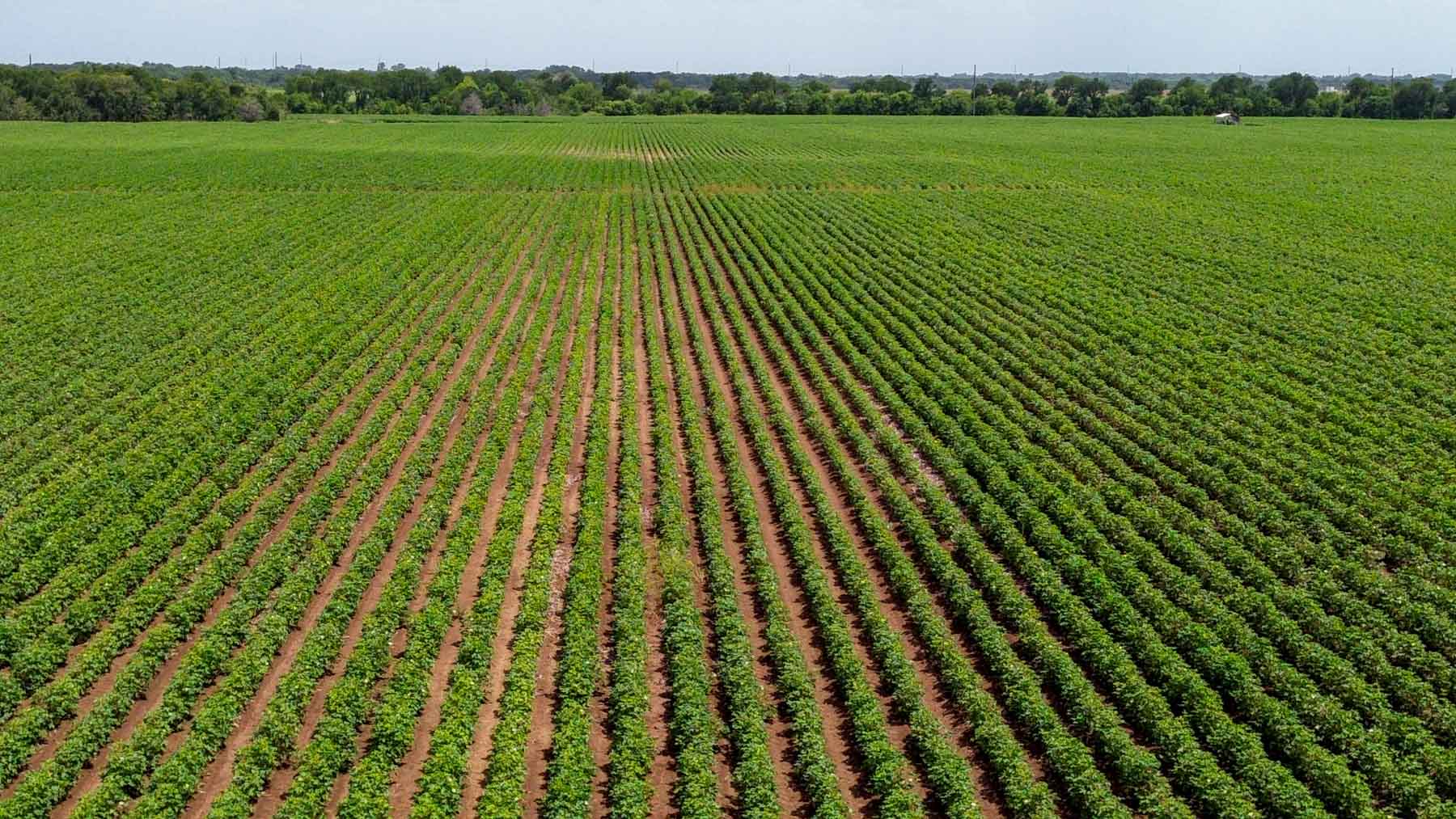 Sims Lane Irrigated Farm property picture 18 of 26
