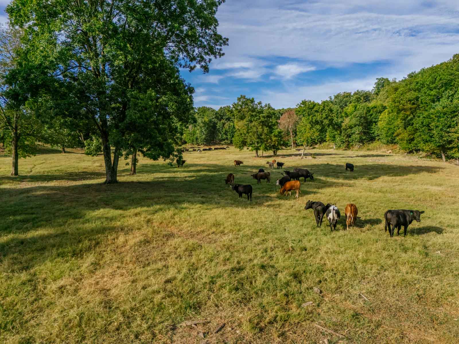 Grant Ranch property picture 56 of 78