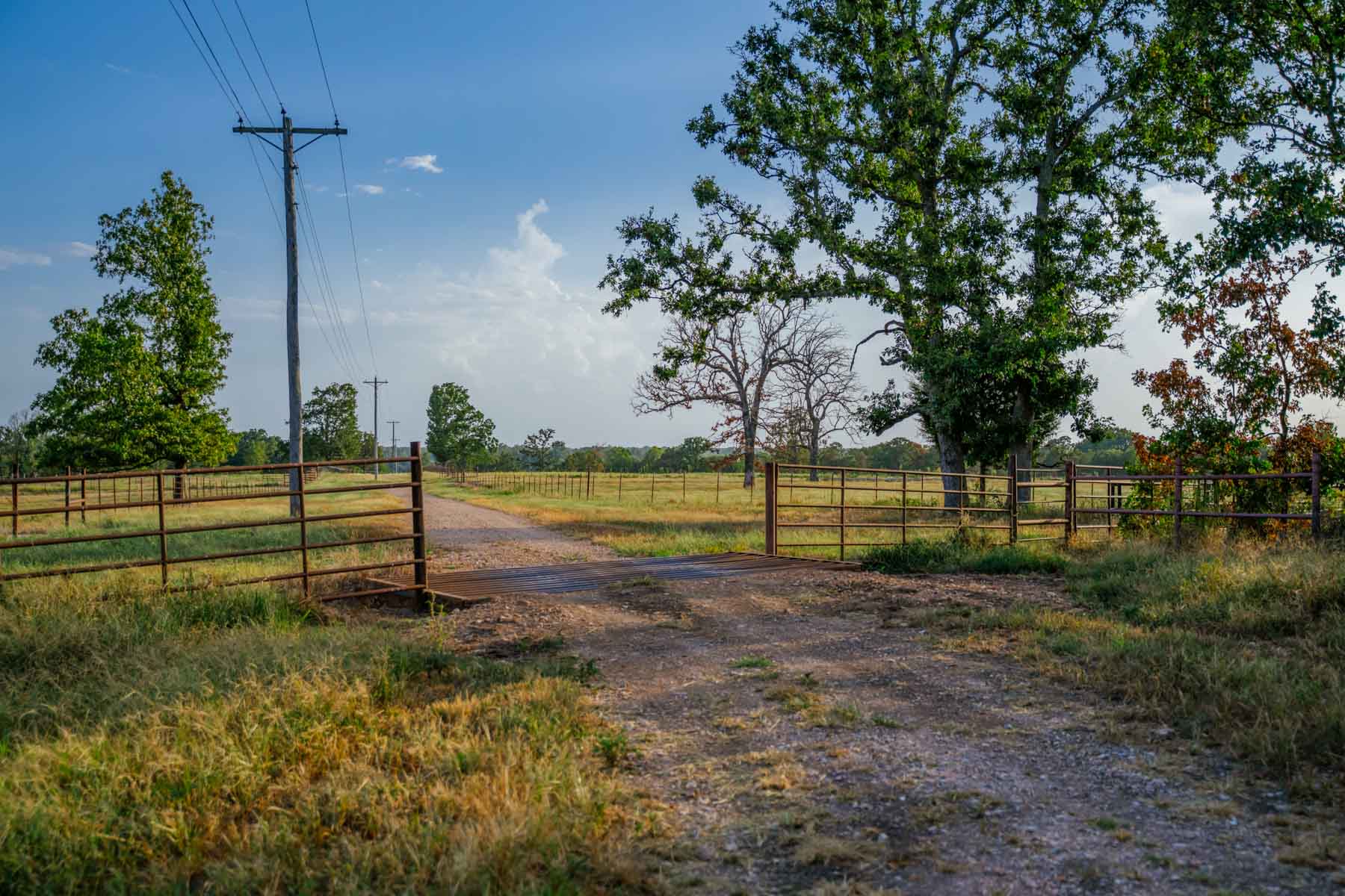 Grant Ranch property picture 61 of 78