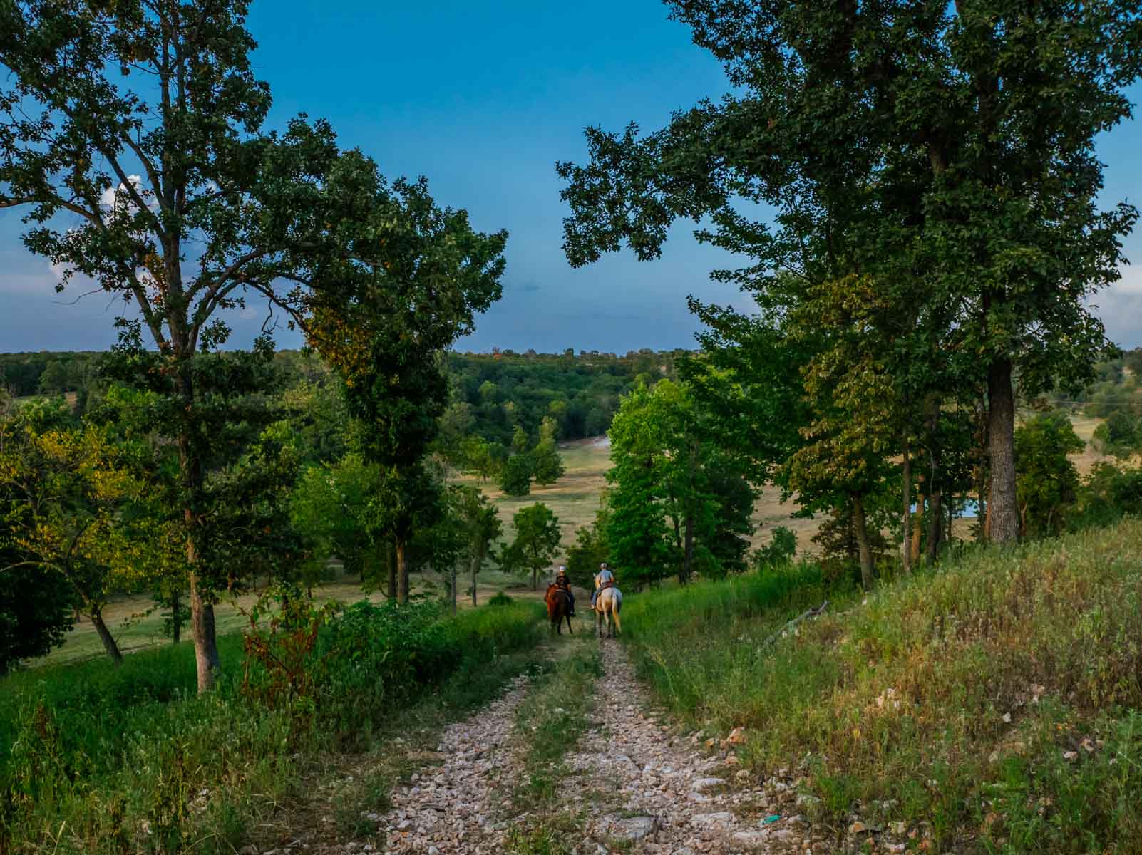 Grant Ranch property picture 23 of 78