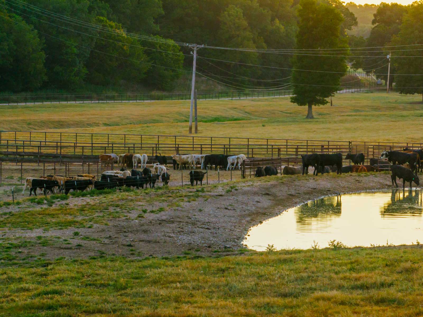 Grant Ranch property picture 32 of 78