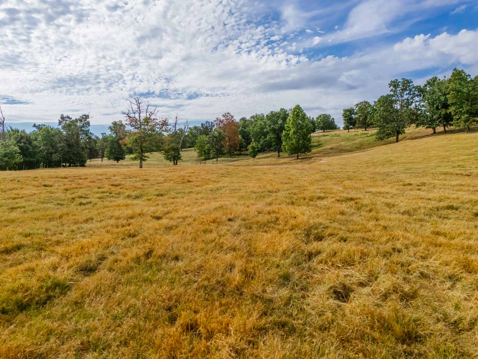 Grant Ranch property picture 57 of 78